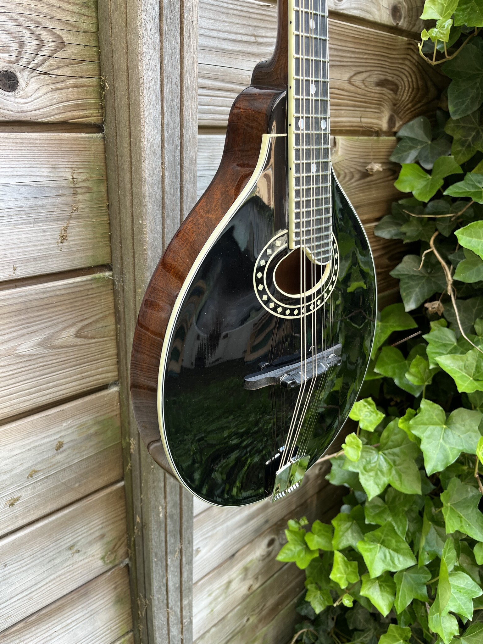 Eastman Eastman MD404-BK (#...856)