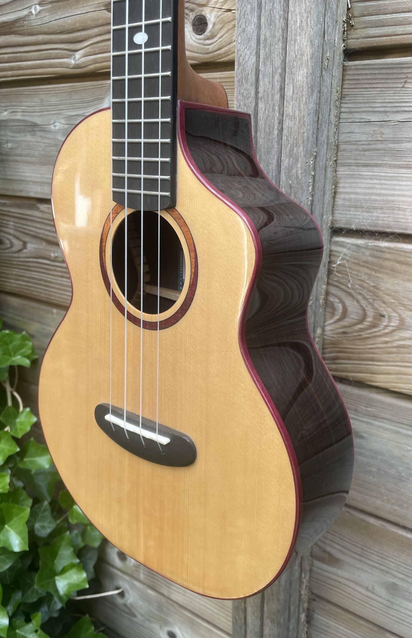 Kala Kala Tenor Ukulele Contour All Solid KA-CT-SSRW-TG-C