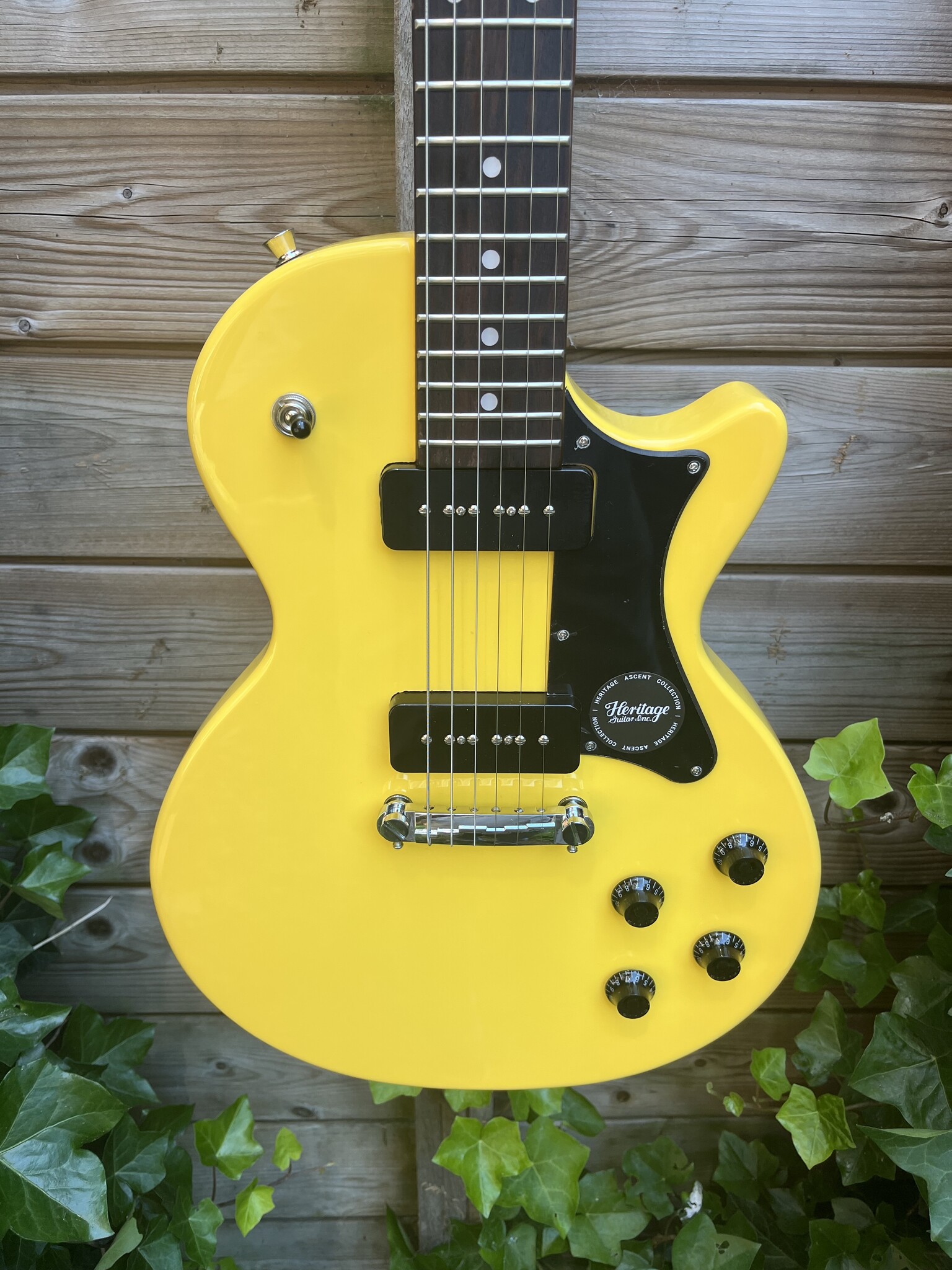 Heritage Heritage Ascent H-137 P90 Marigold Yellow