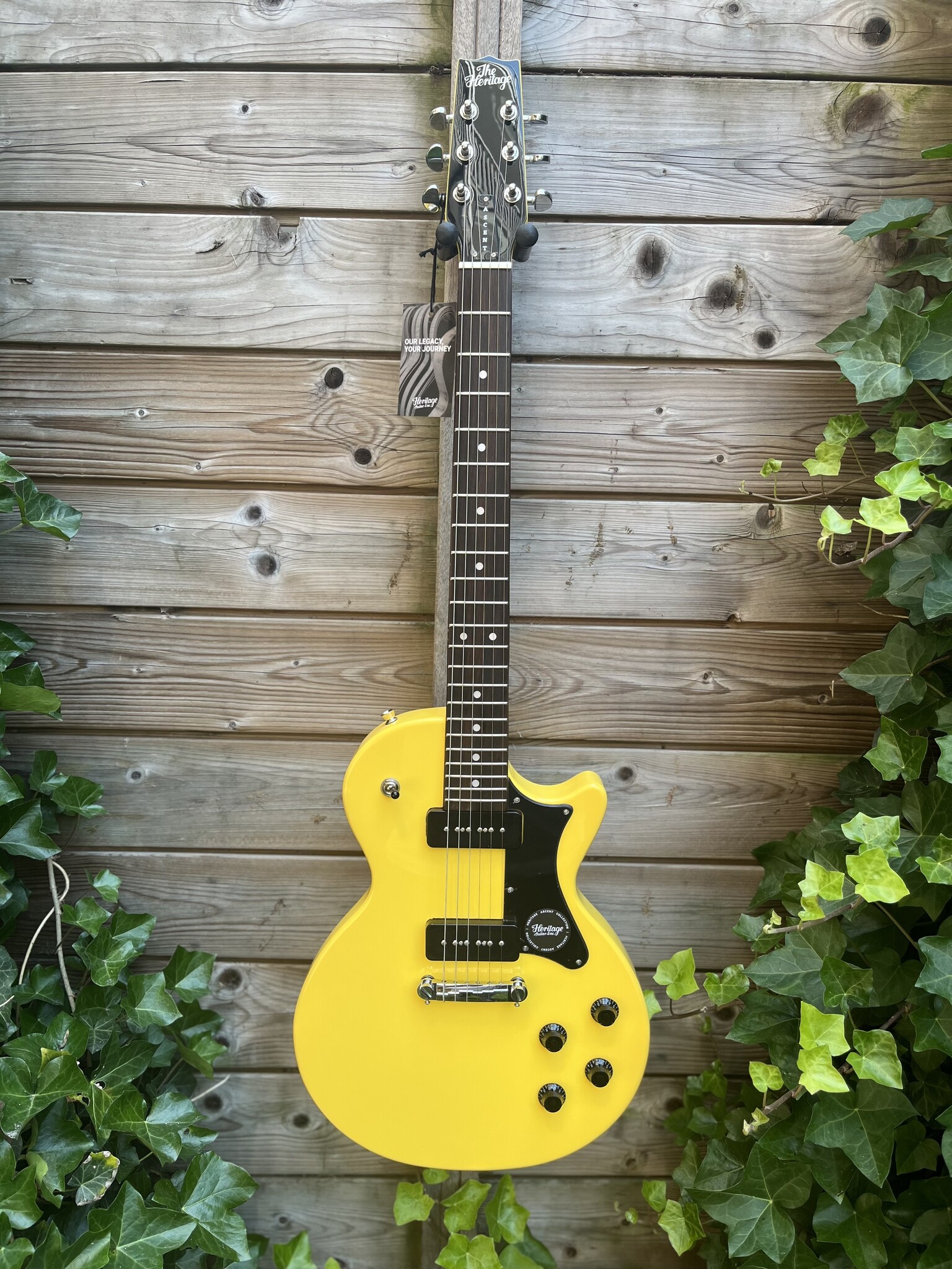 Heritage Heritage Ascent H-137 P90 Marigold Yellow