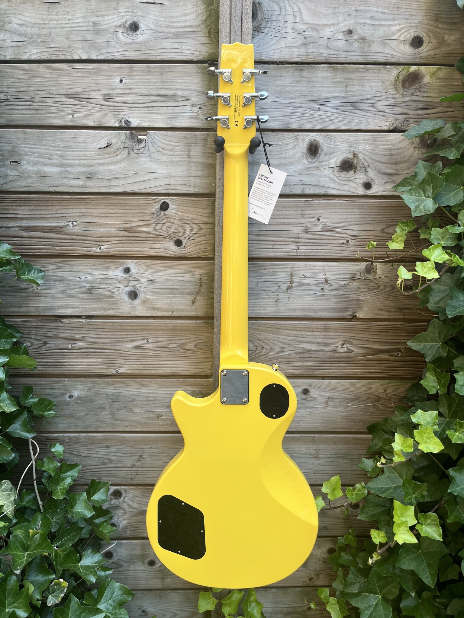 Heritage Heritage Ascent H-137 P90 Marigold Yellow