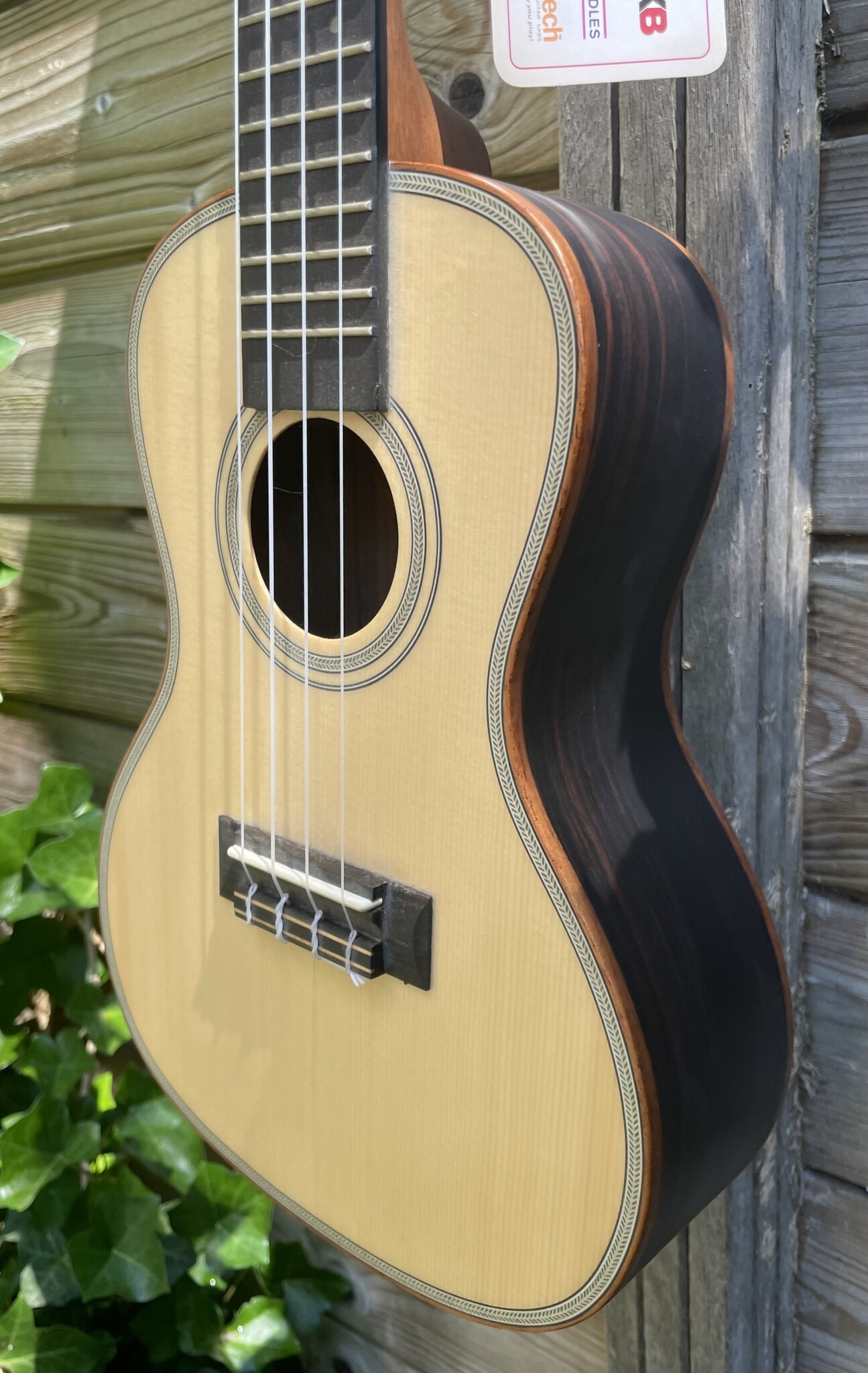 Kala Kala Concert Ukulele Solid Spruce/Ebony KA-SSEBY-C
