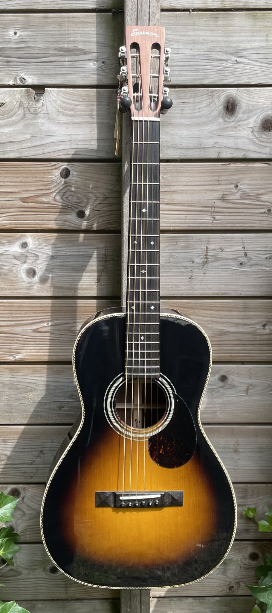 Eastman Eastman E20P-SB (#...286)