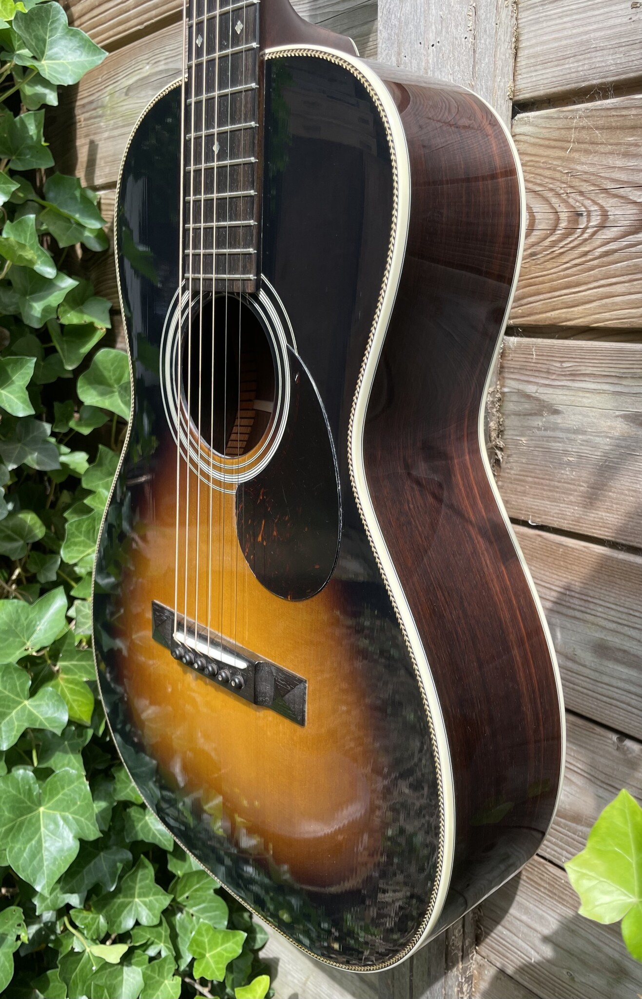 Eastman Eastman E20P-SB (#...286)