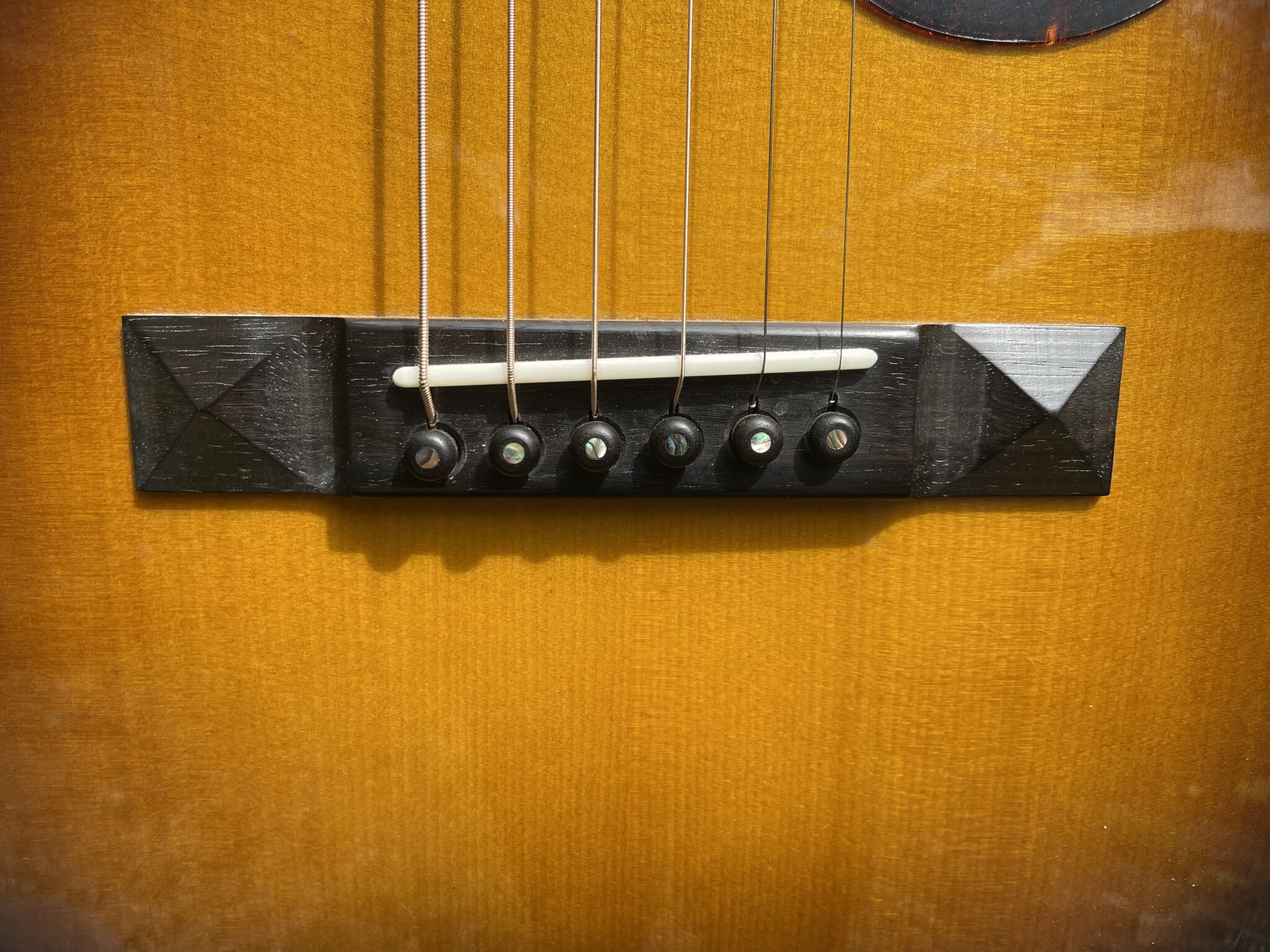 Eastman Eastman E20P-SB (#...286)