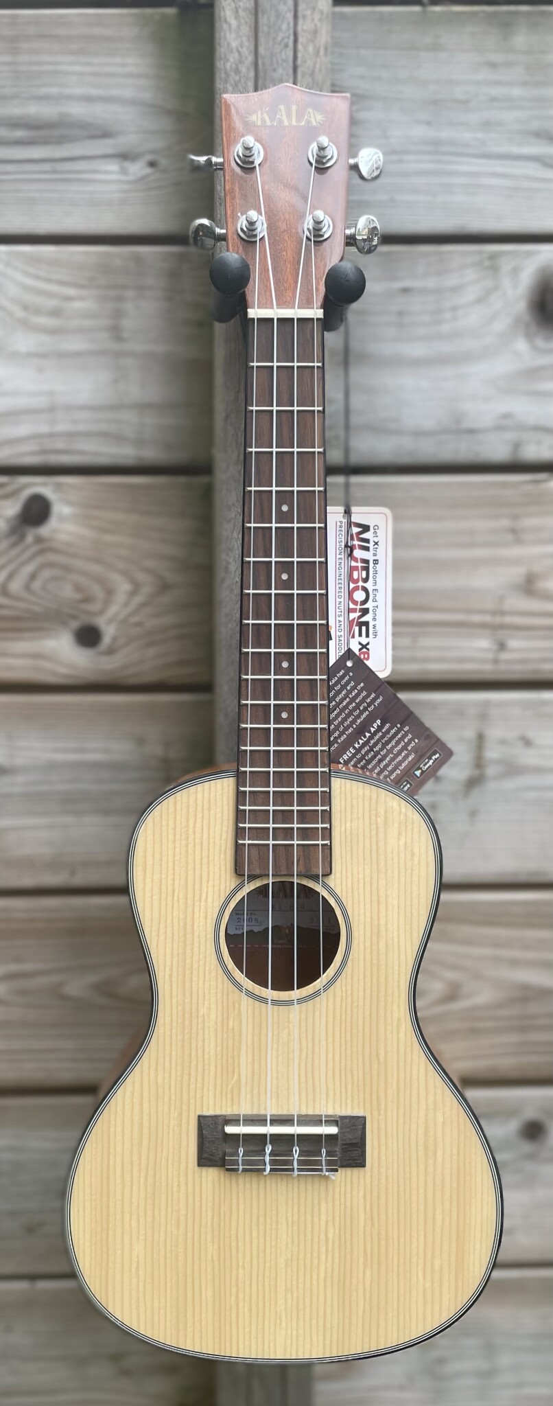 Kala Kala Concert Ukulele Gloss KA-SCG