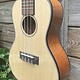 Kala Kala Concert Ukulele Gloss KA-SCG
