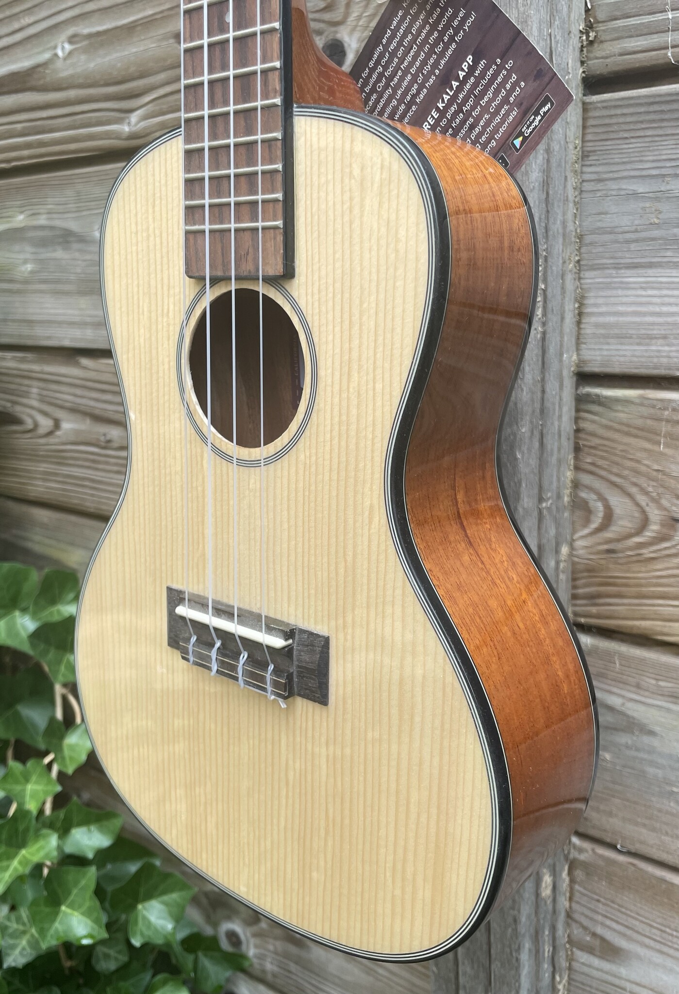 Kala Kala Concert Ukulele Gloss KA-SCG