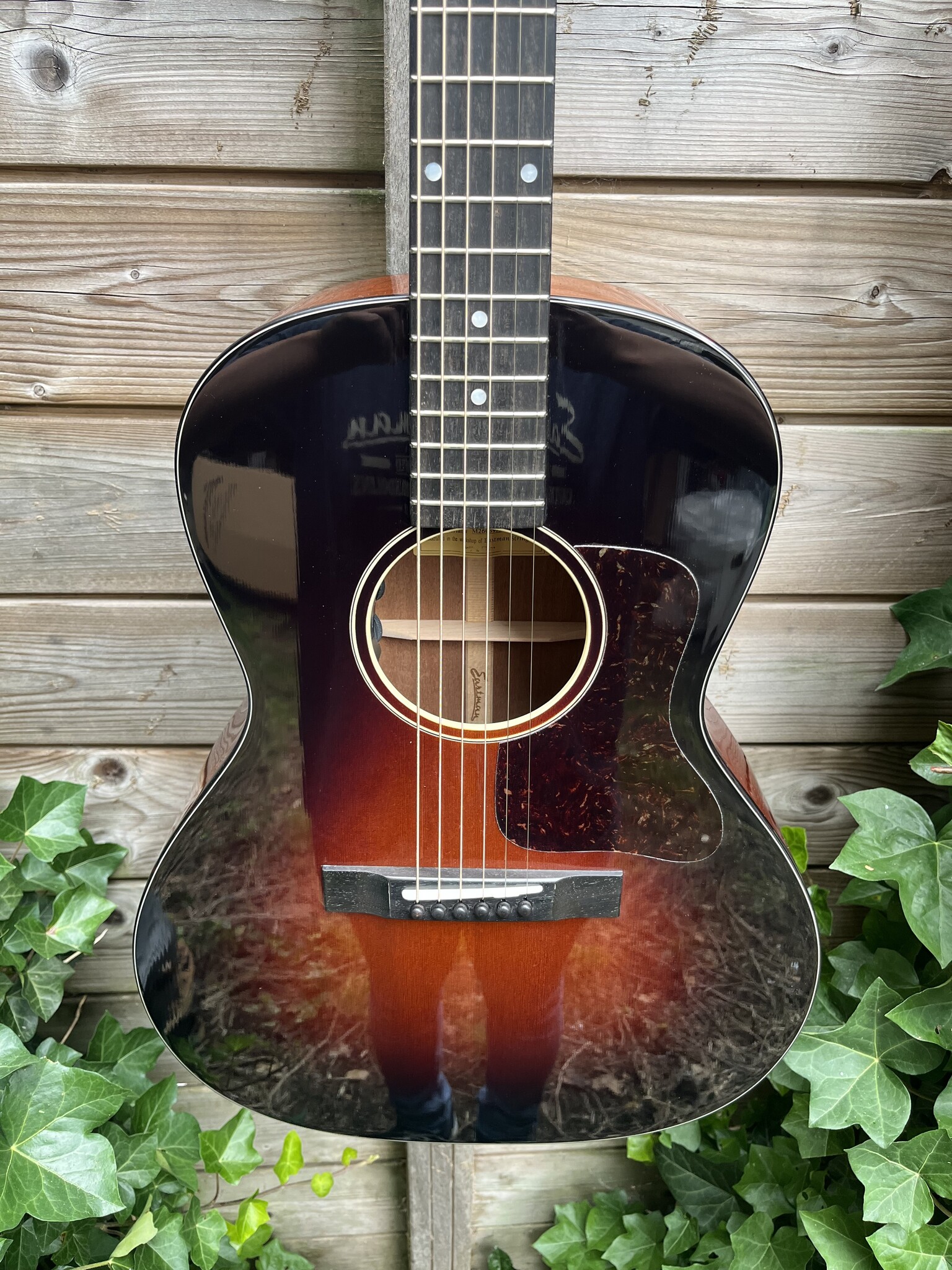 Eastman Eastman E1-00-SS-DLX Sunburst