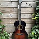 Eastman Eastman E1-00-SS-DLX Sunburst