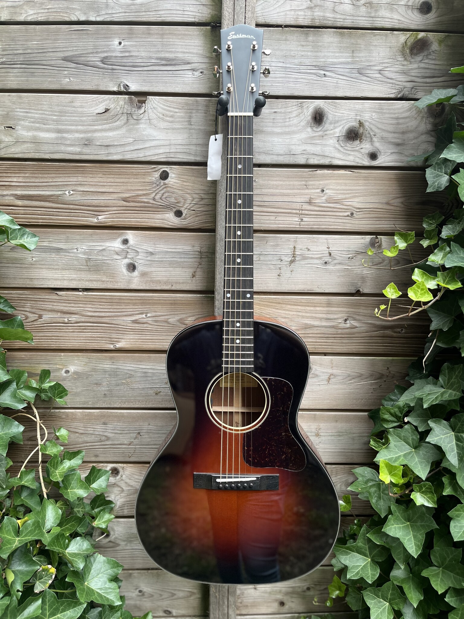 Eastman Eastman E1-00-SS-DLX Sunburst