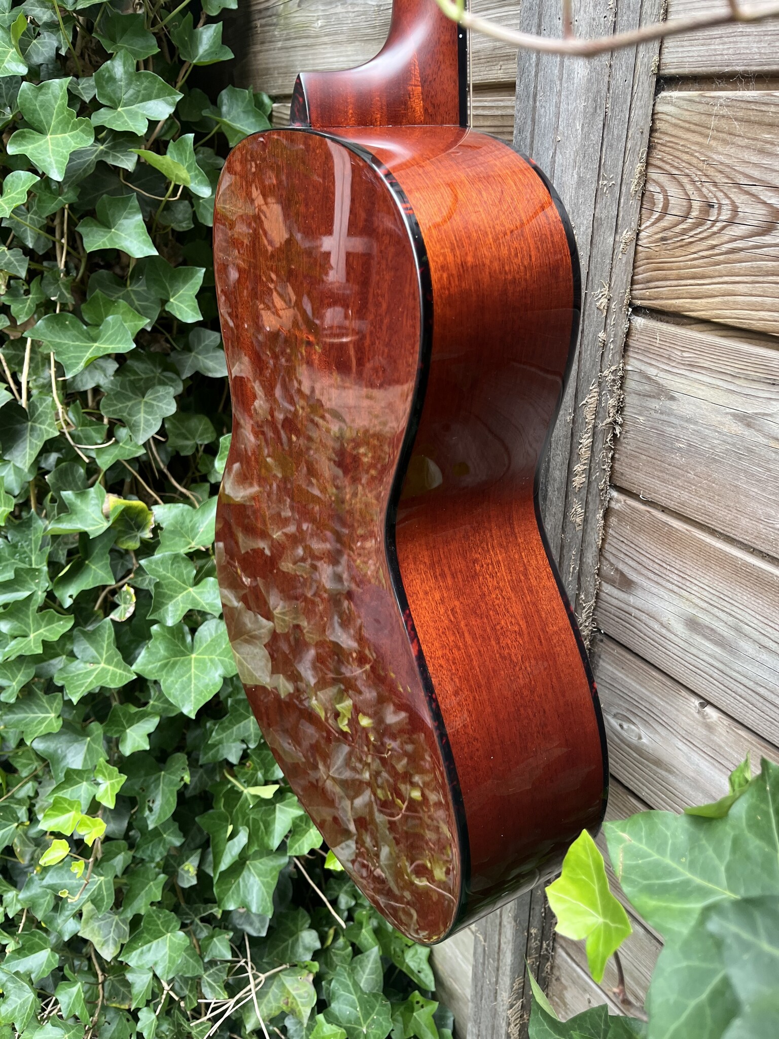 Eastman Eastman E1-00-SS-DLX Sunburst