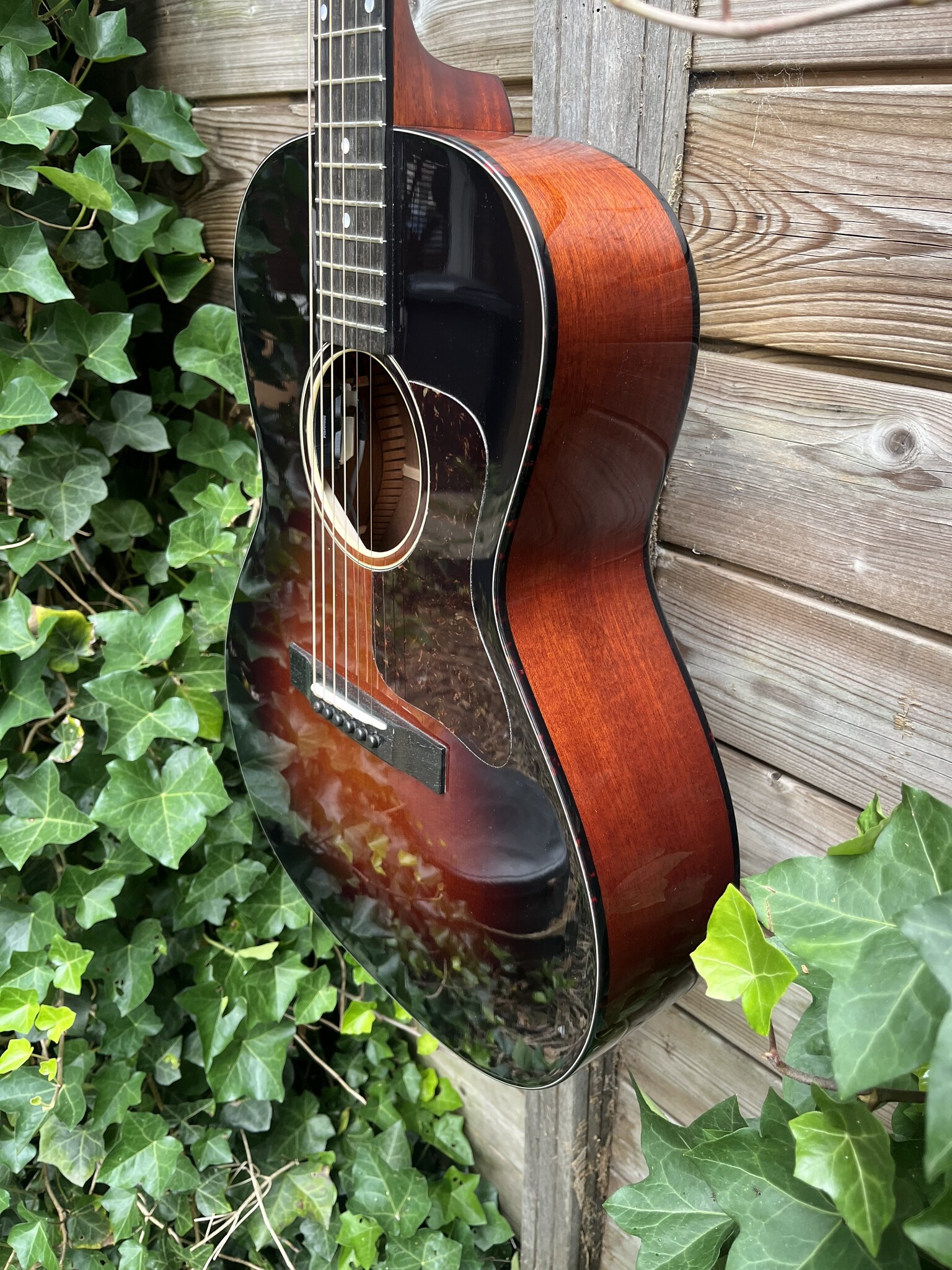 Eastman Eastman E1-00-SS-DLX Sunburst