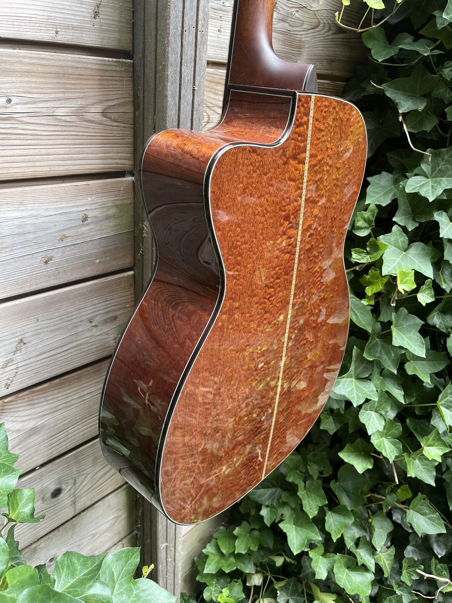 Eastman Eastman L-OMCE-QS