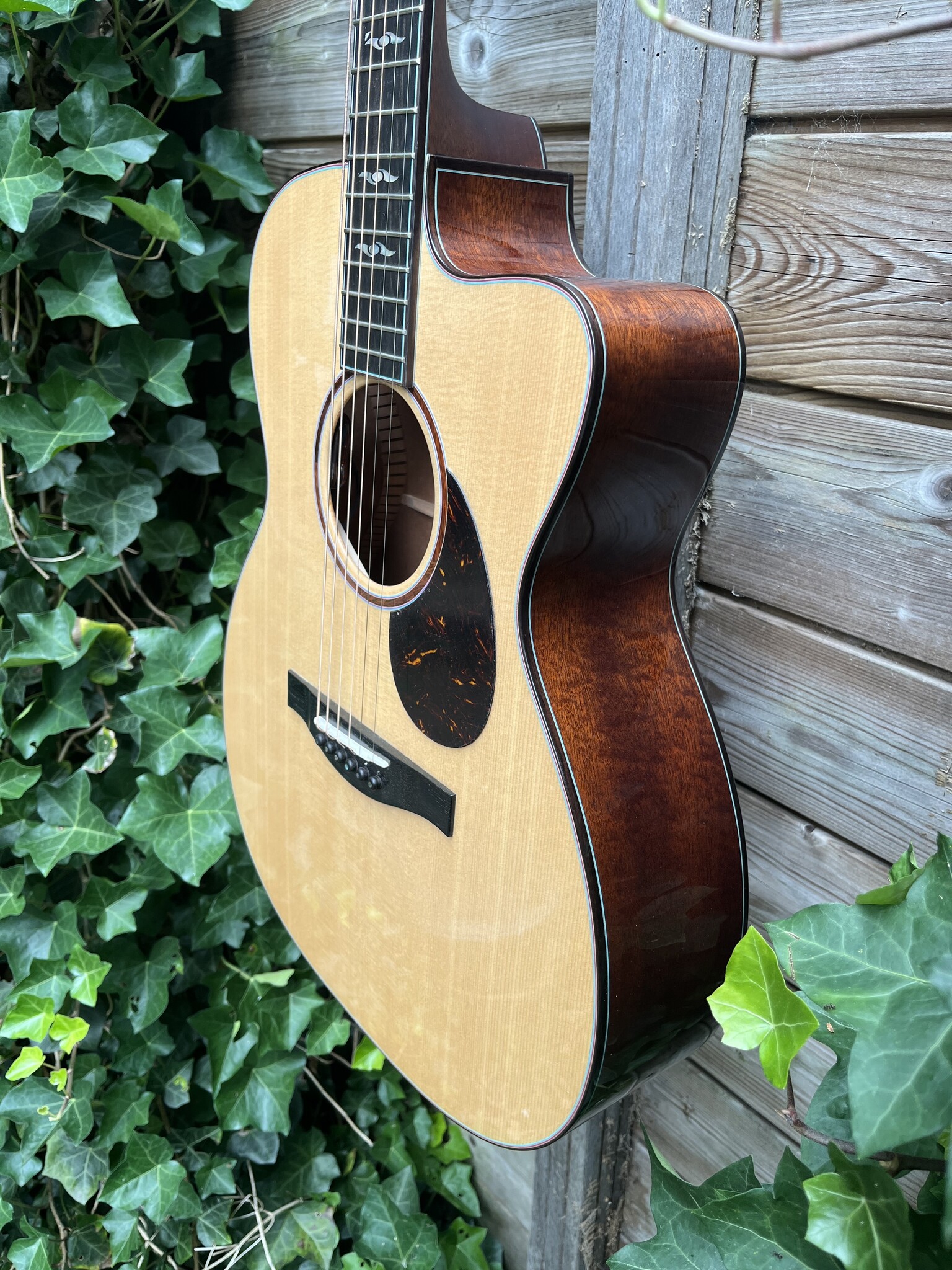 Eastman Eastman L-OMCE-QS