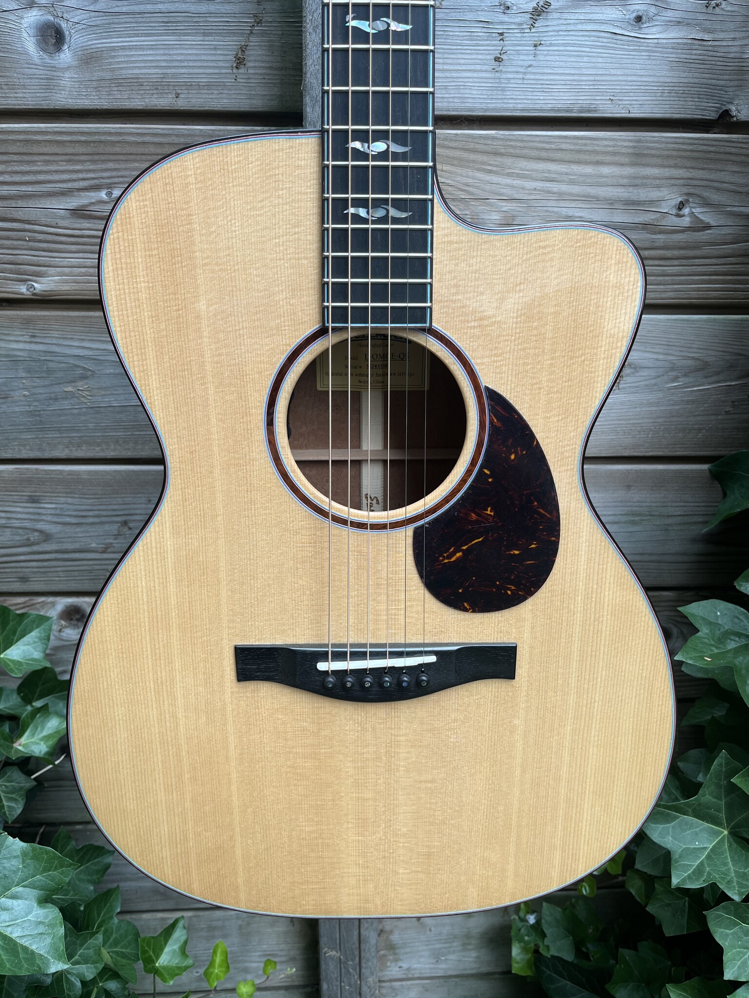 Eastman Eastman L-OMCE-QS