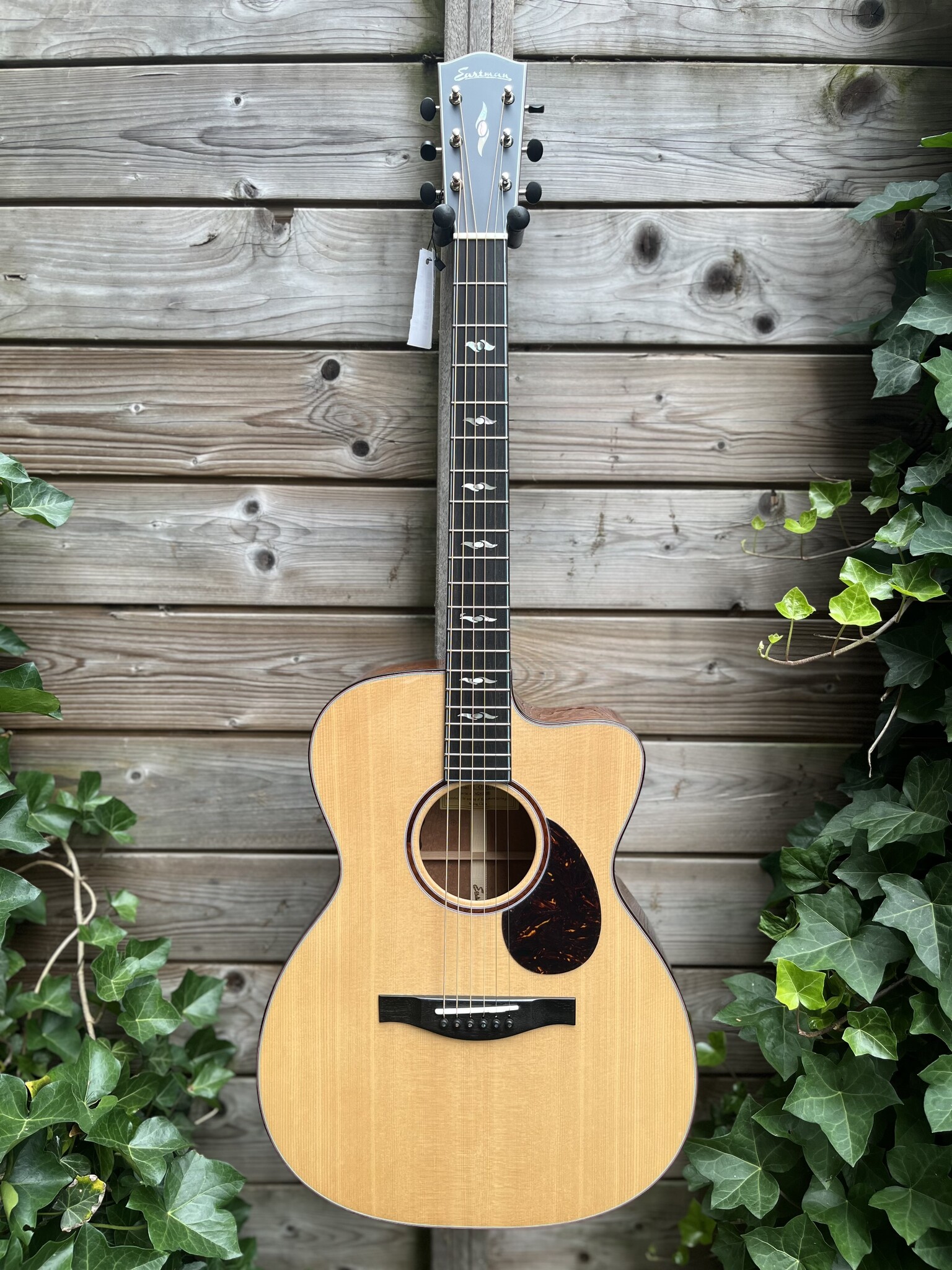 Eastman Eastman L-OMCE-QS
