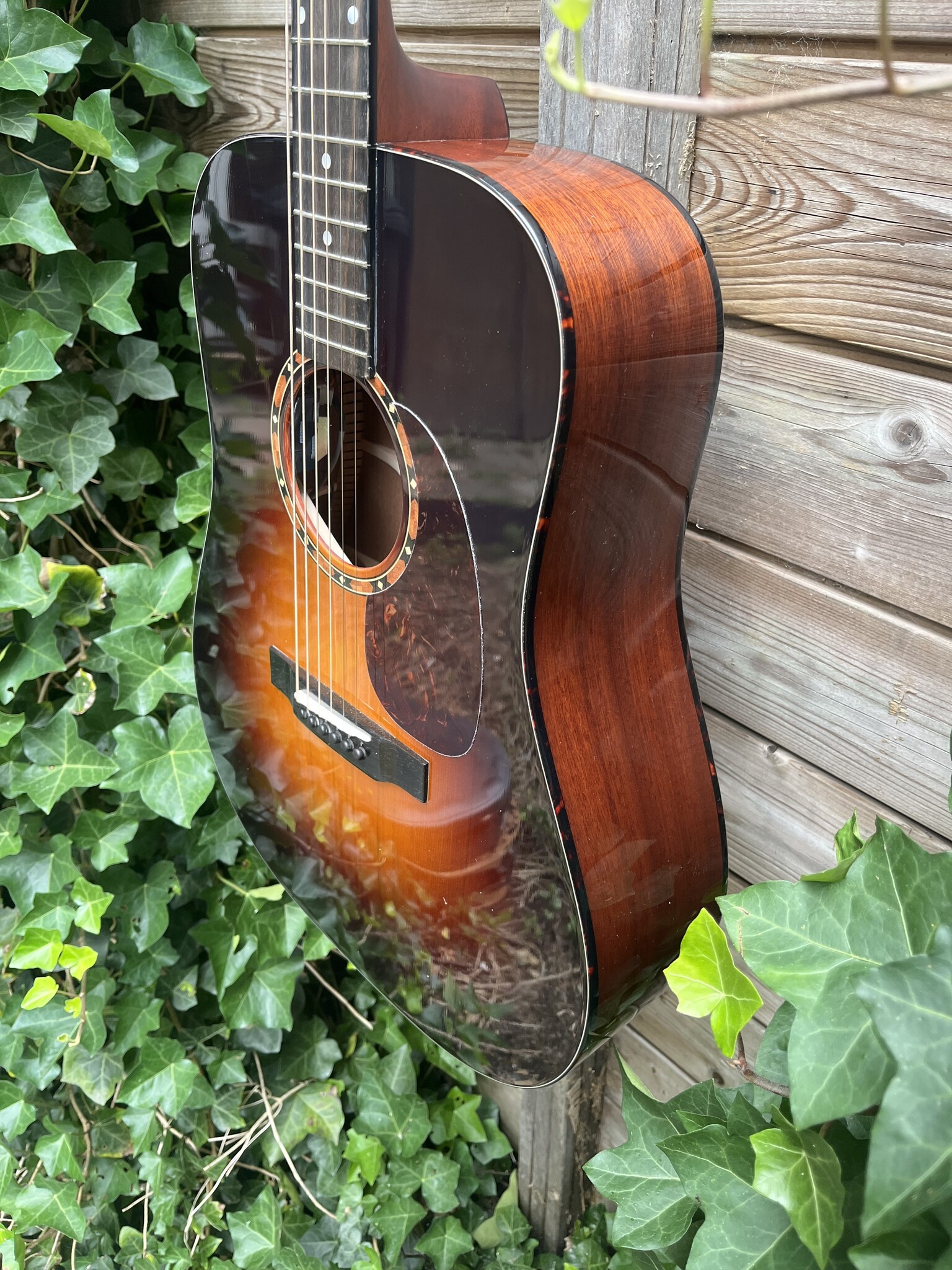 Eastman Eastman E2D-DLX-SB
