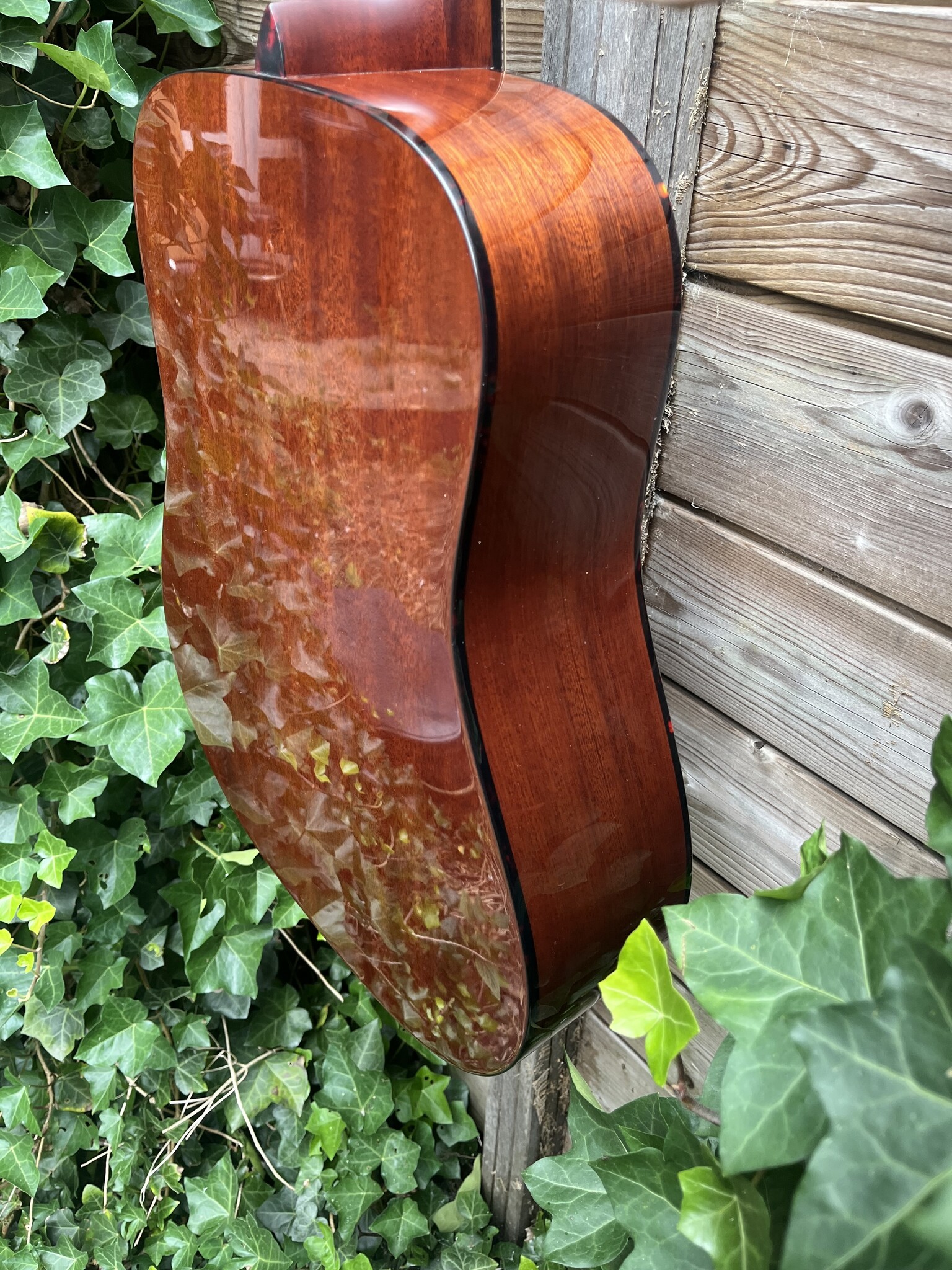 Eastman Eastman E2D-DLX-SB