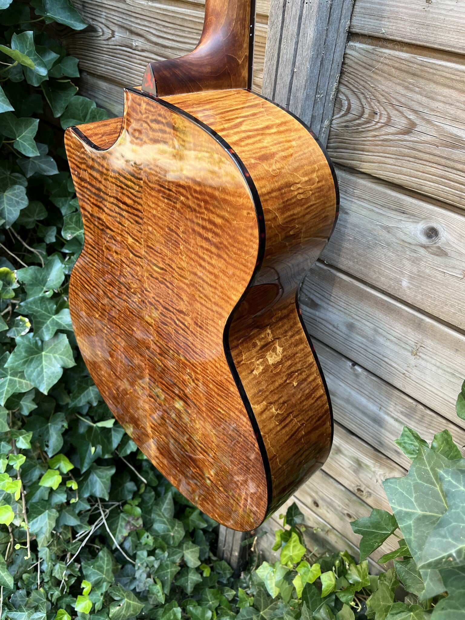 Eastman Eastman PCH3-GACE Amberburst