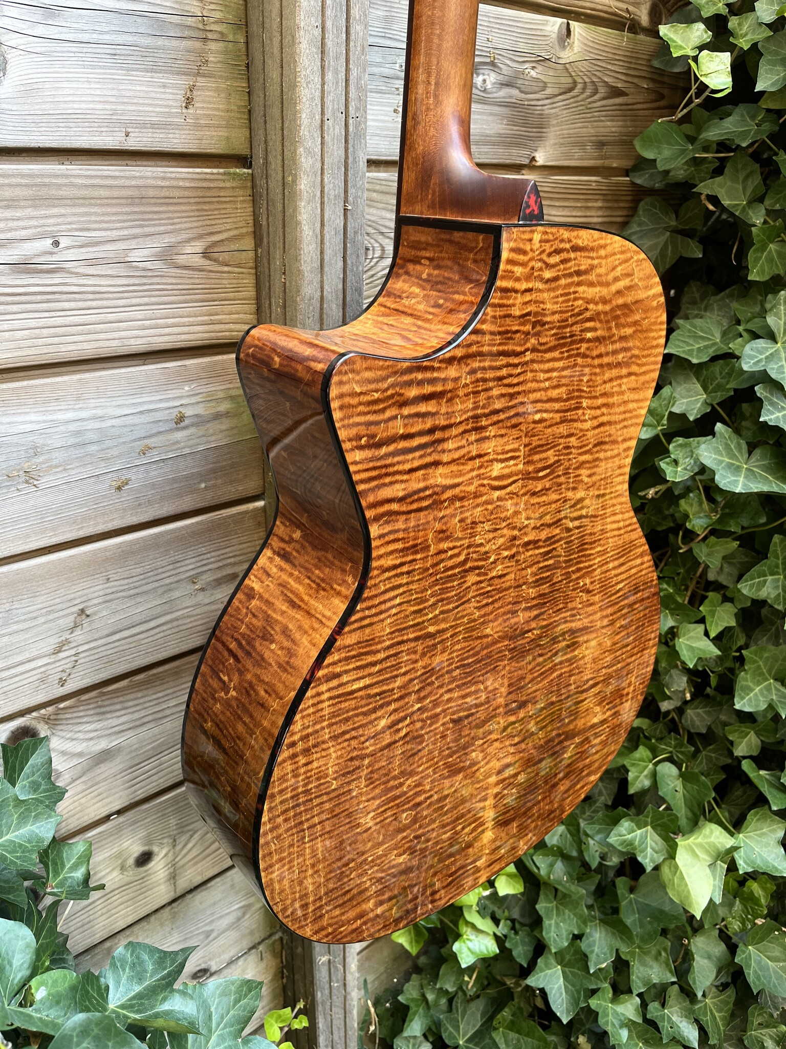 Eastman Eastman PCH3-GACE Amberburst