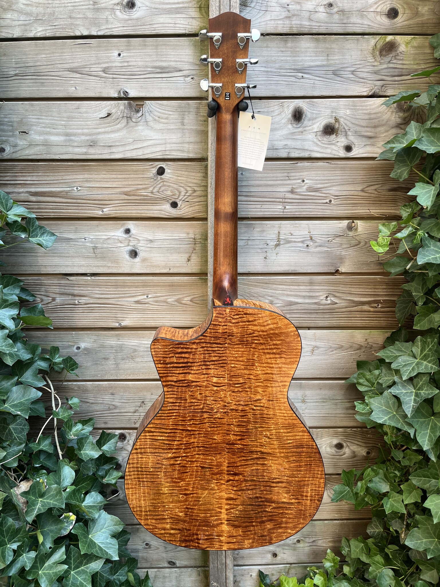 Eastman Eastman PCH3-GACE Amberburst