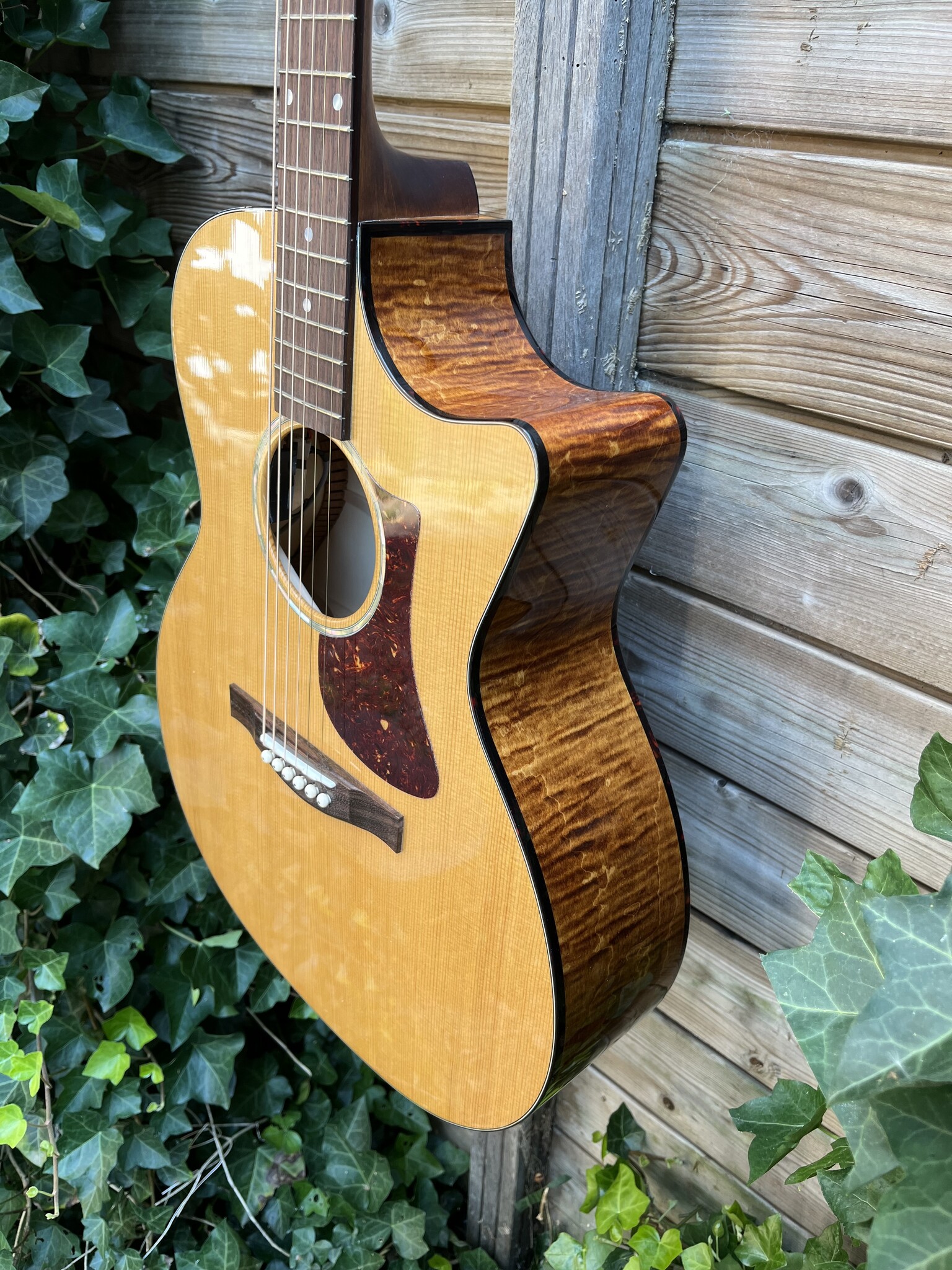 Eastman Eastman PCH3-GACE Amberburst
