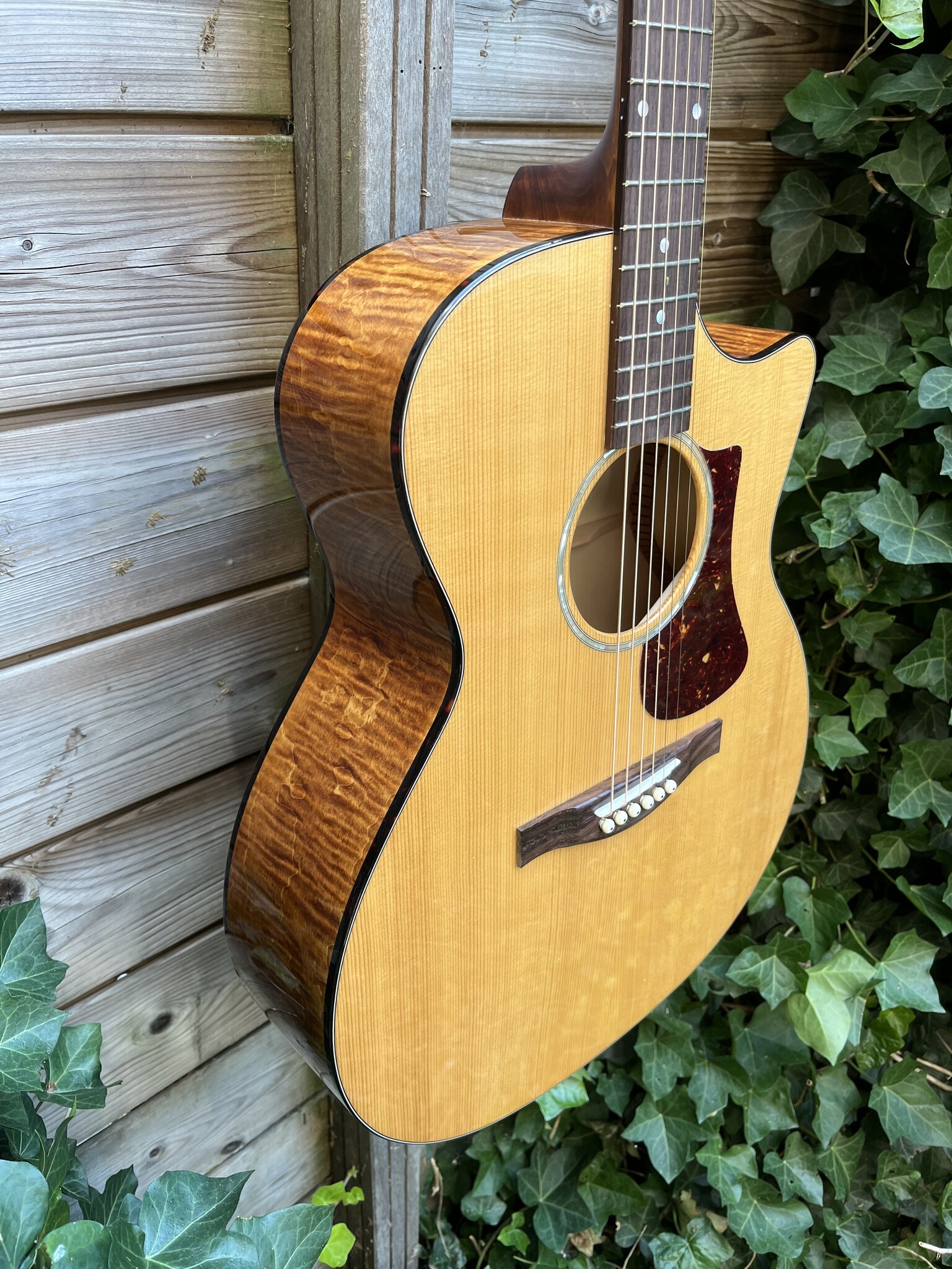 Eastman Eastman PCH3-GACE Amberburst