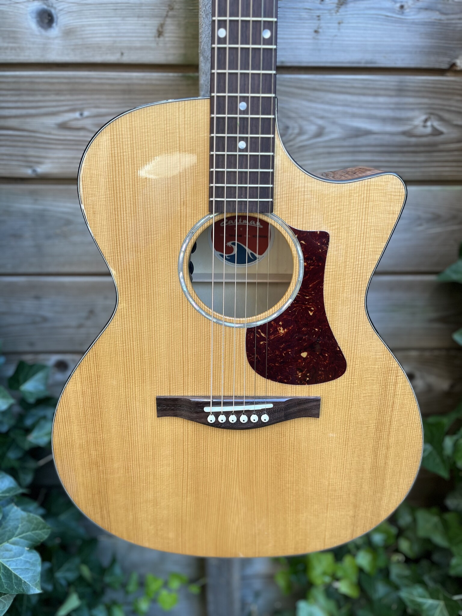 Eastman Eastman PCH3-GACE Amberburst