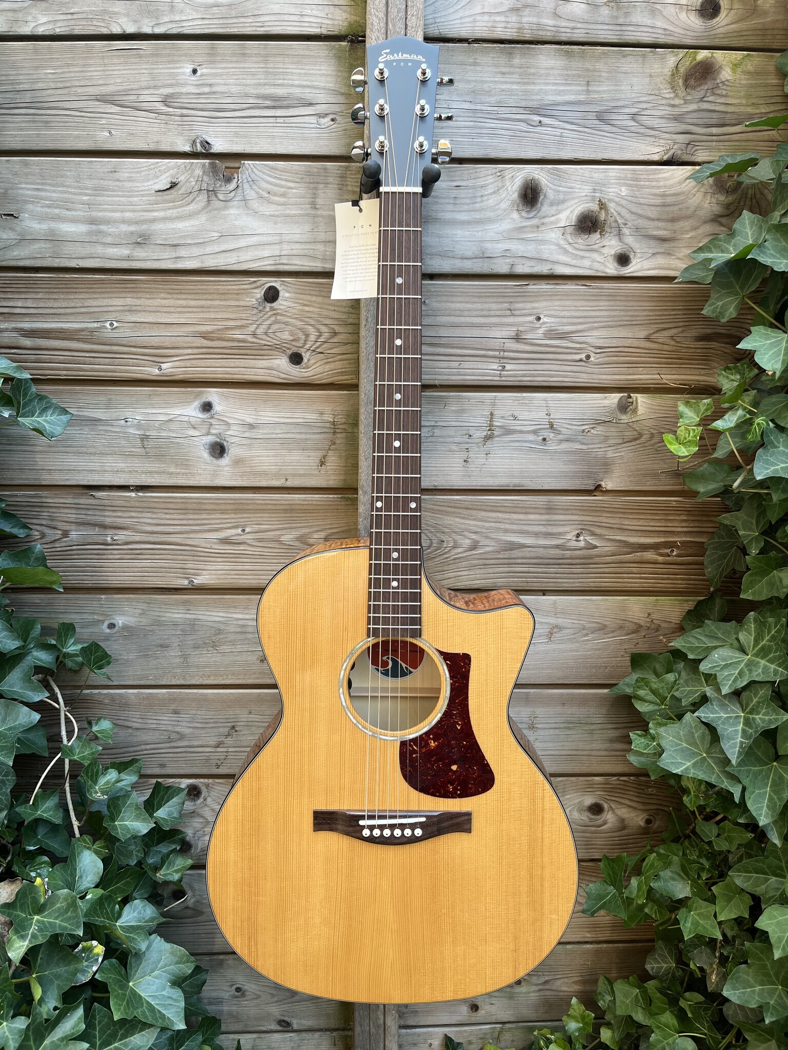 Eastman Eastman PCH3-GACE Amberburst