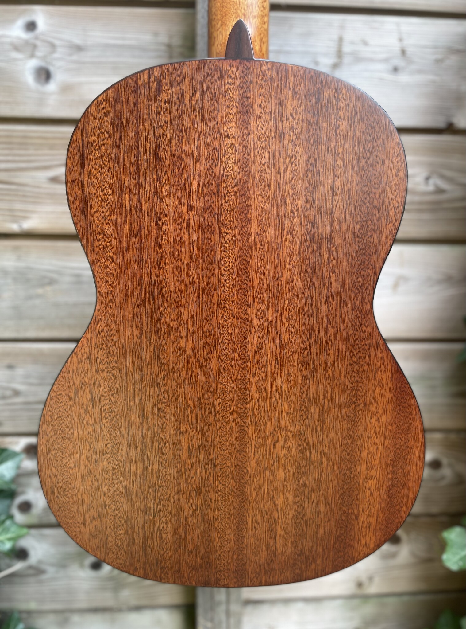 Mérida Extrema Guitars Merida MC-A06