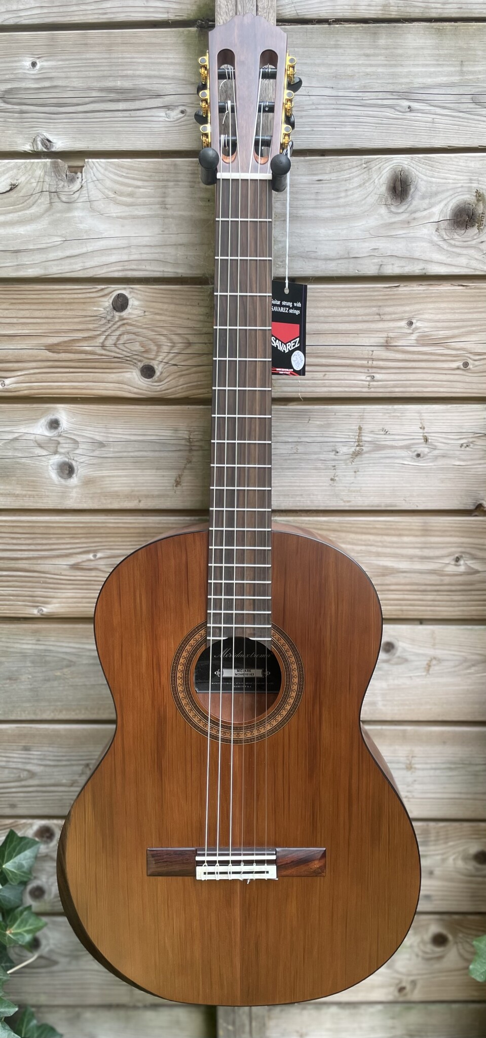 Mérida Extrema Guitars Merida MC-A06