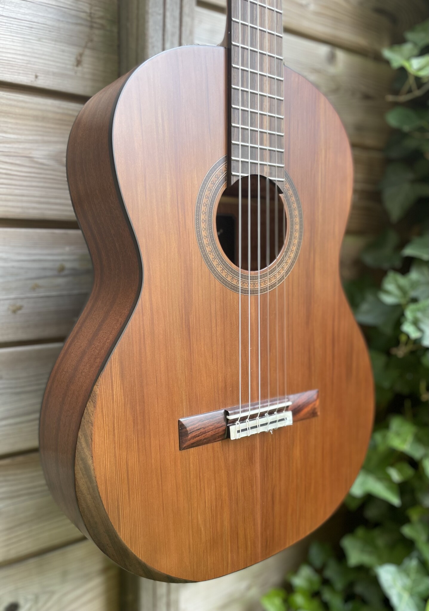 Mérida Extrema Guitars Merida MC-A06