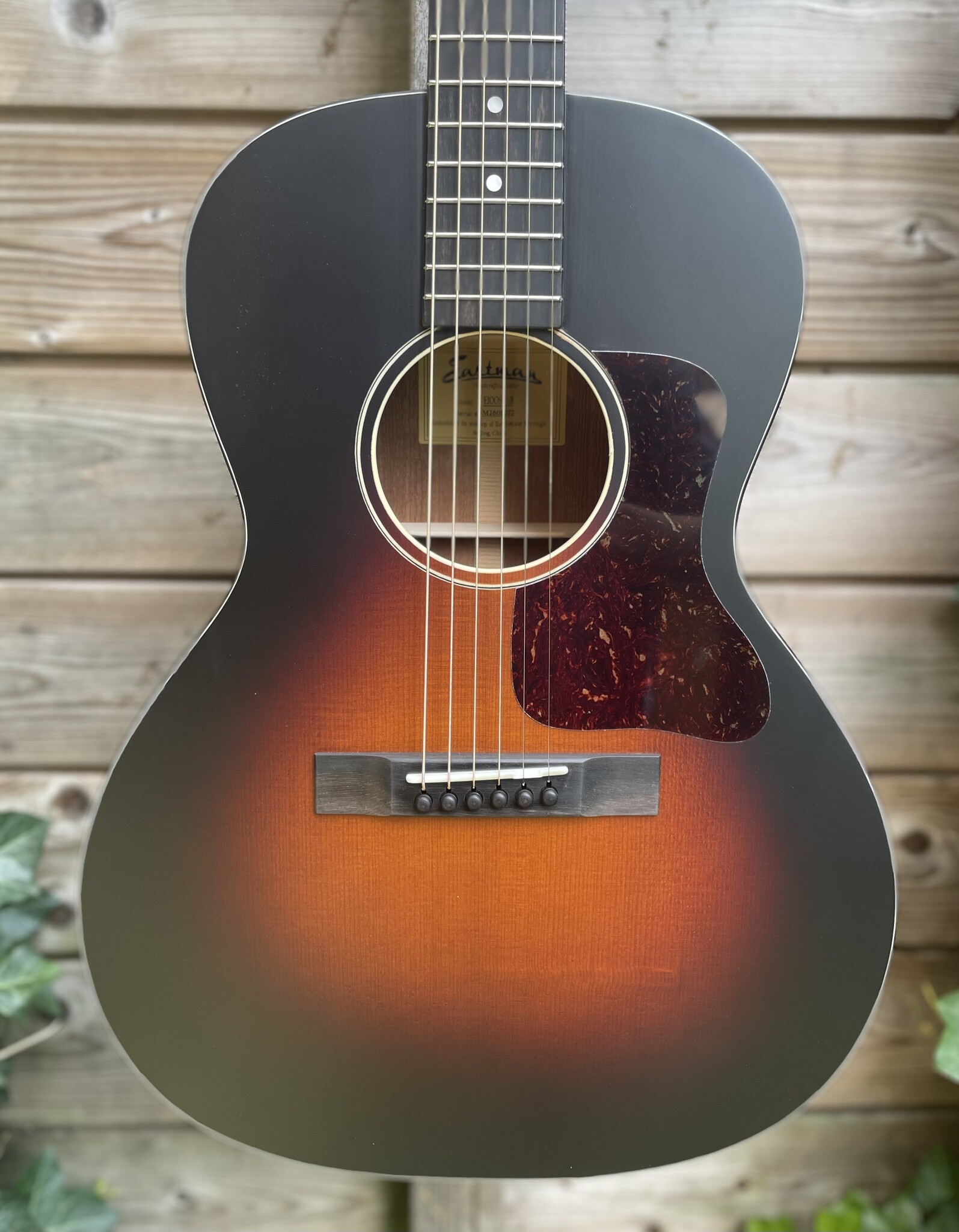 Eastman Eastman E1-00-SS Sunburst