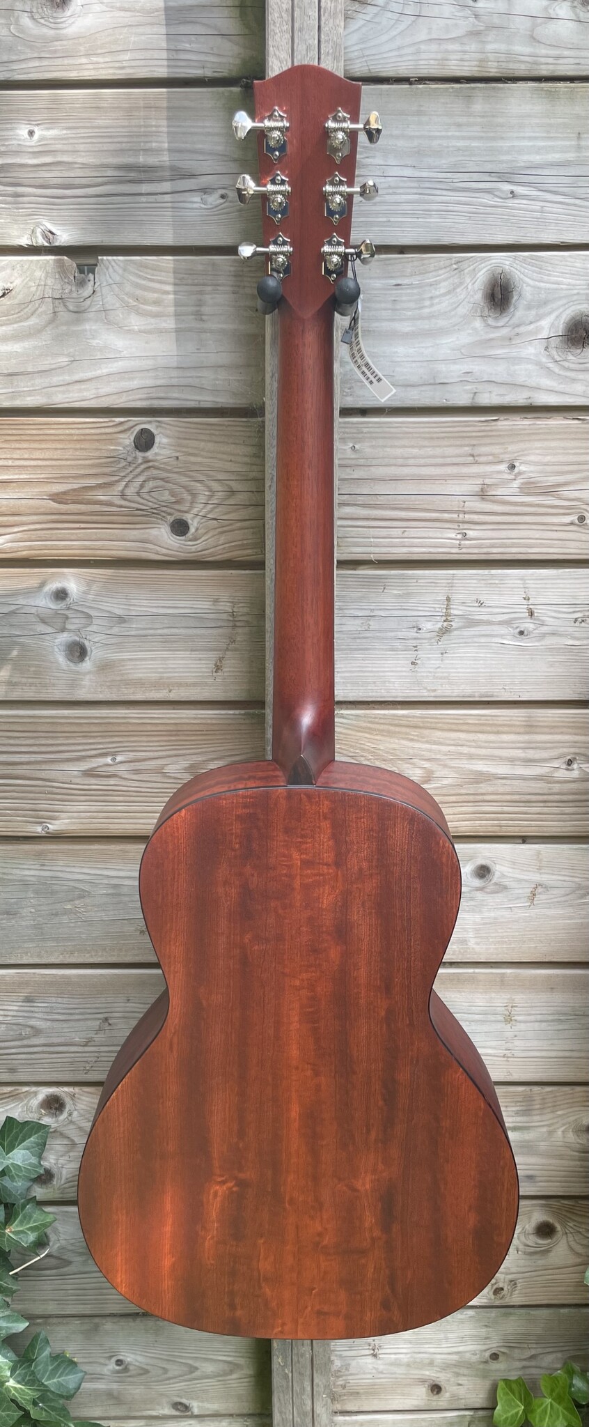 Eastman Eastman E1-00-SS Sunburst