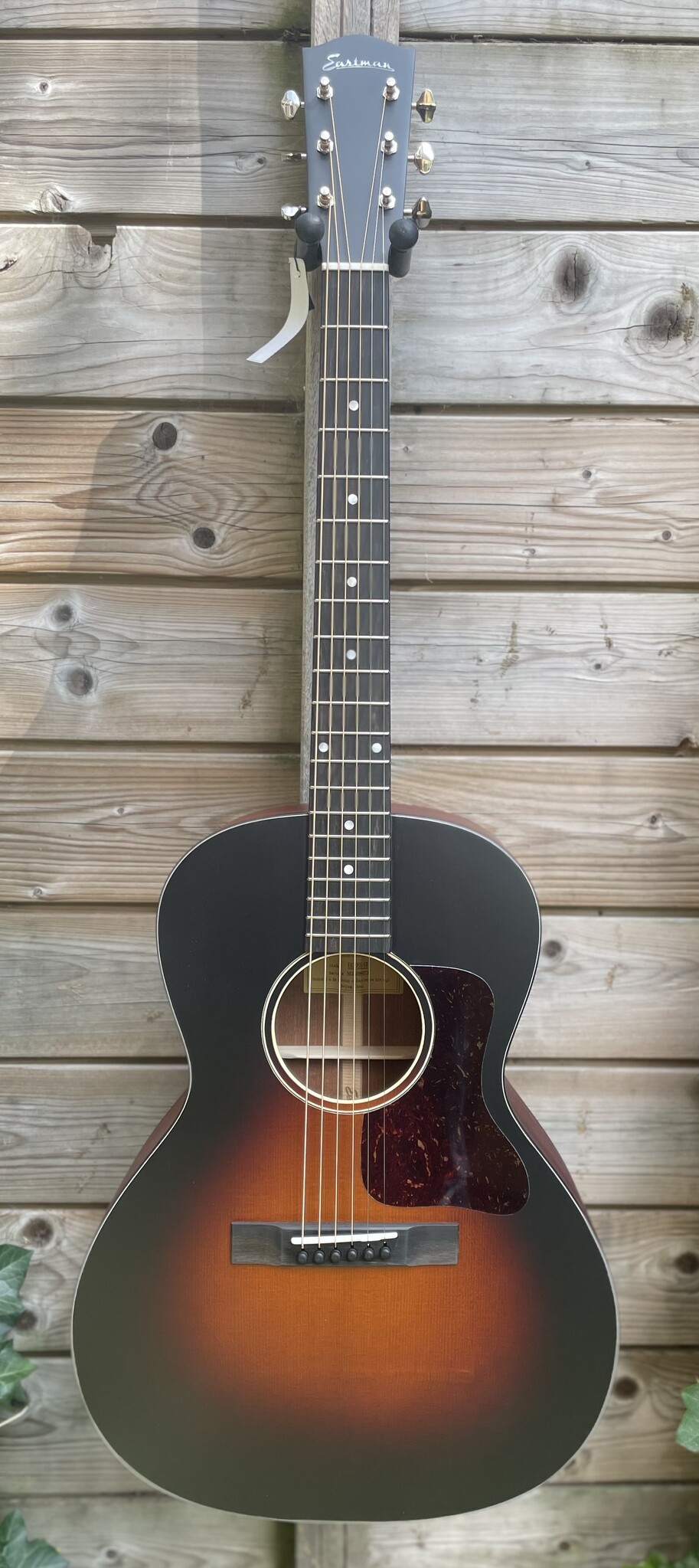 Eastman Eastman E1-00-SS Sunburst