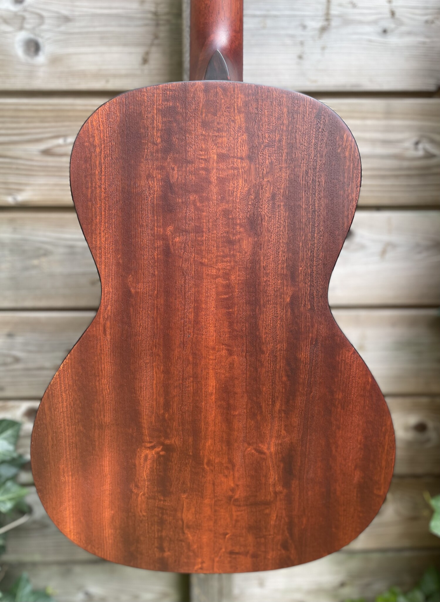Eastman Eastman E1-00-SS Sunburst