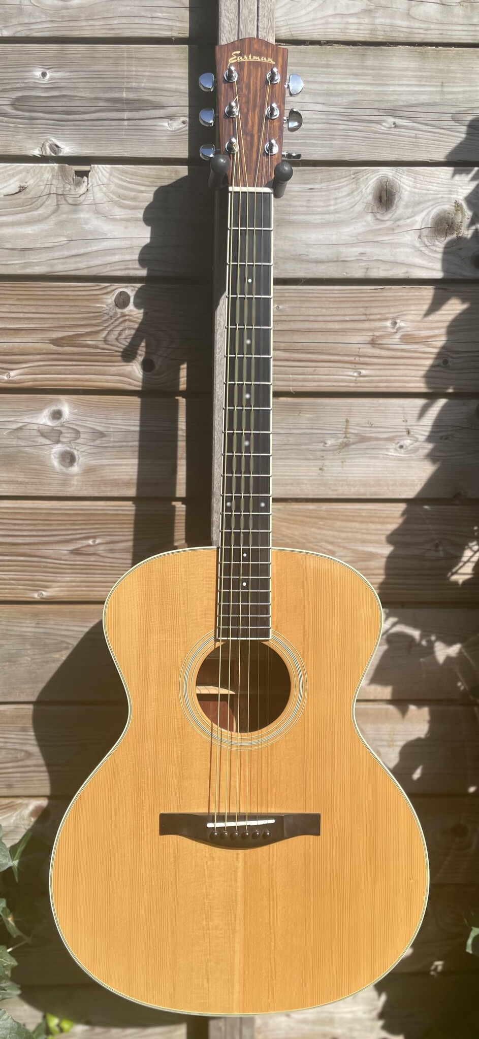 Eastman Eastman AC322 occ.