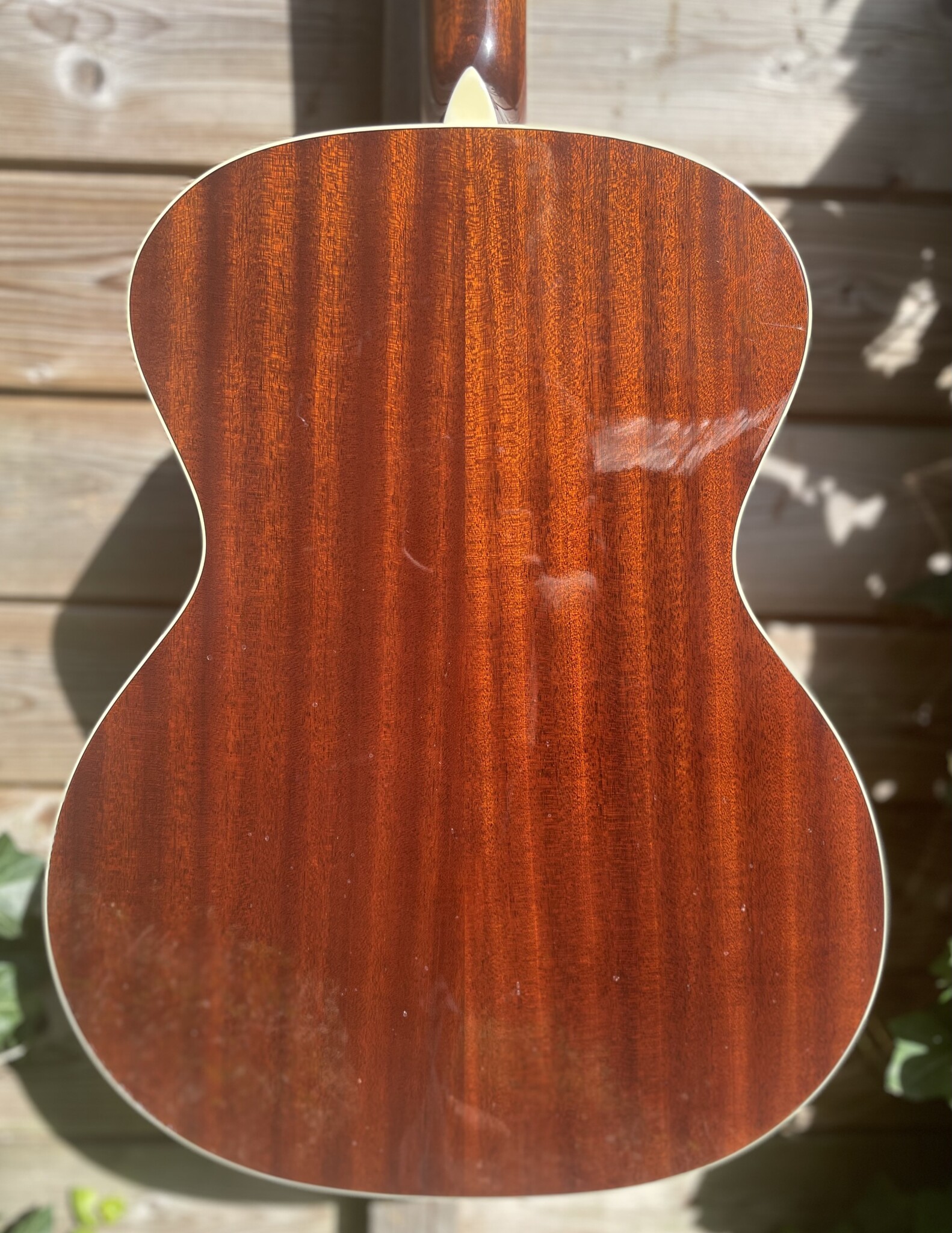 Eastman Eastman AC322 occ.