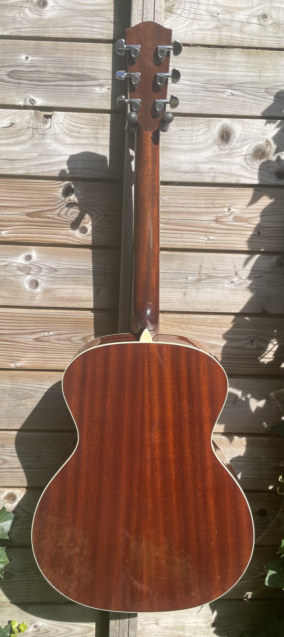 Eastman Eastman AC322 occ.