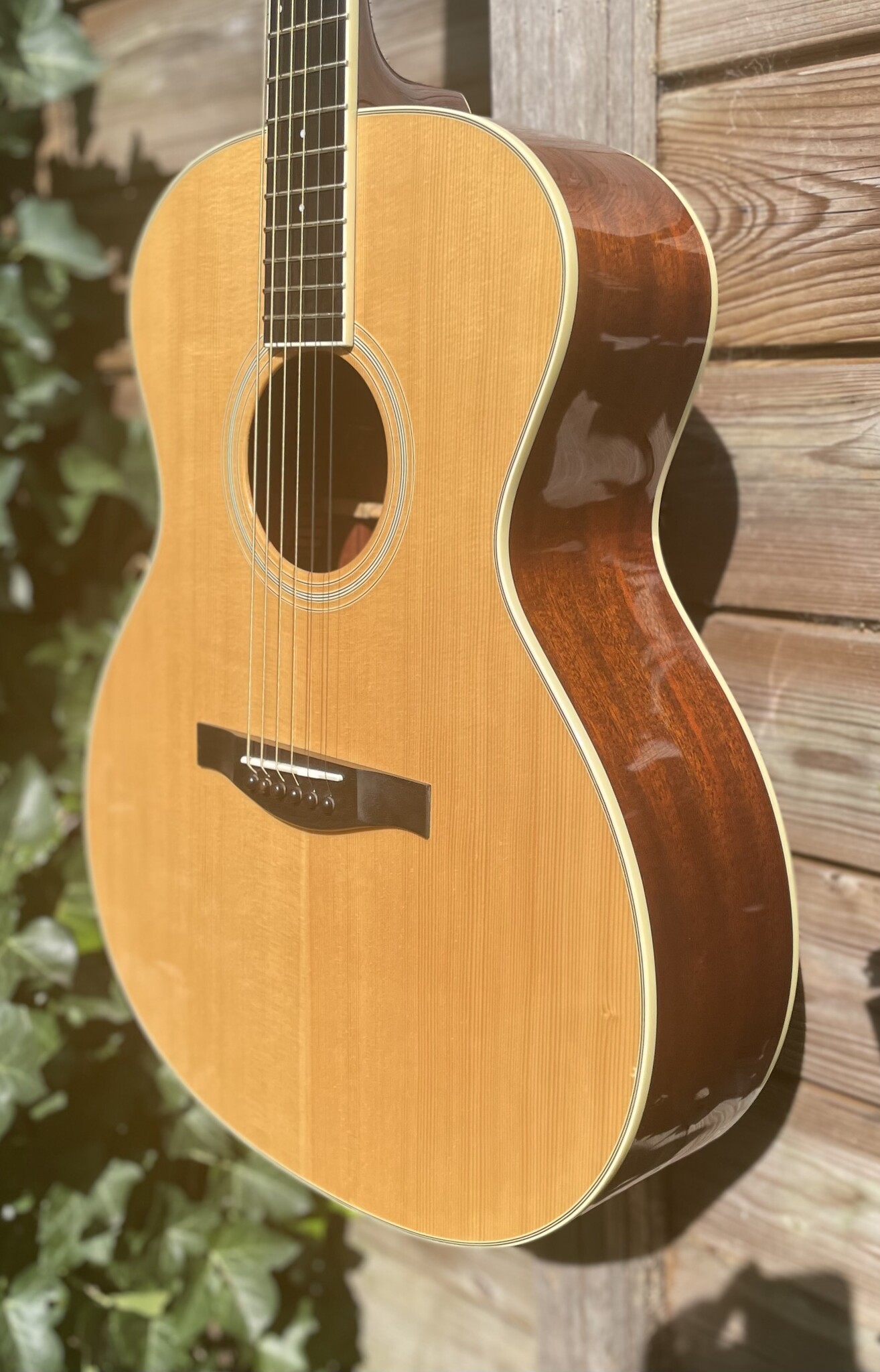 Eastman Eastman AC322 occ.