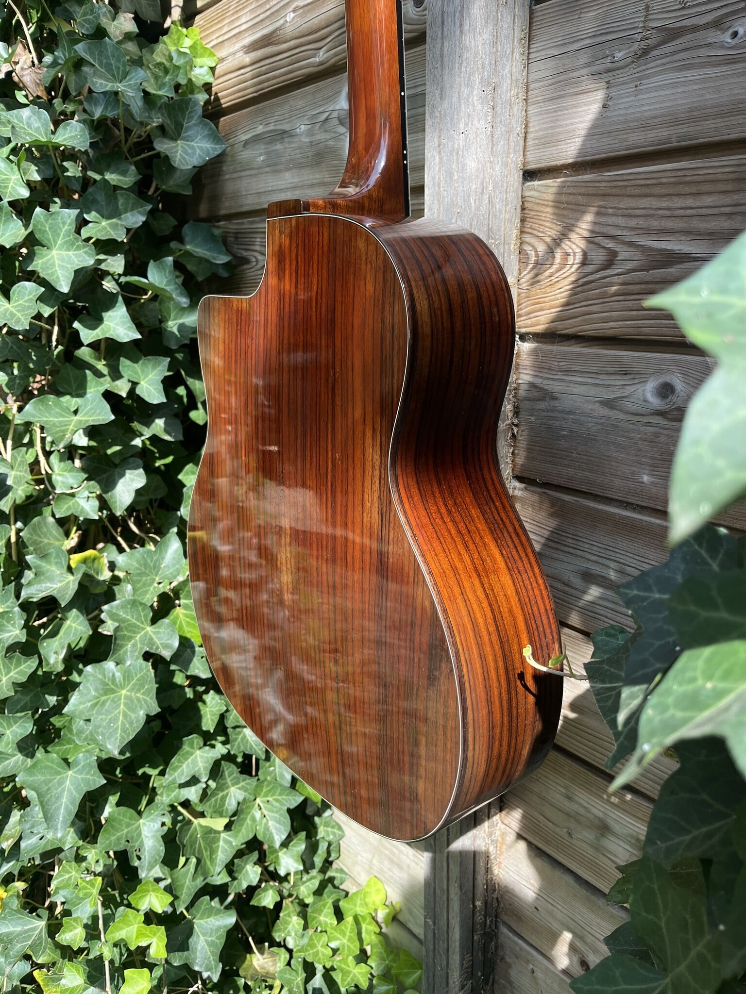 Eastman Eastman DM2/V Gypsy Petite Bouche