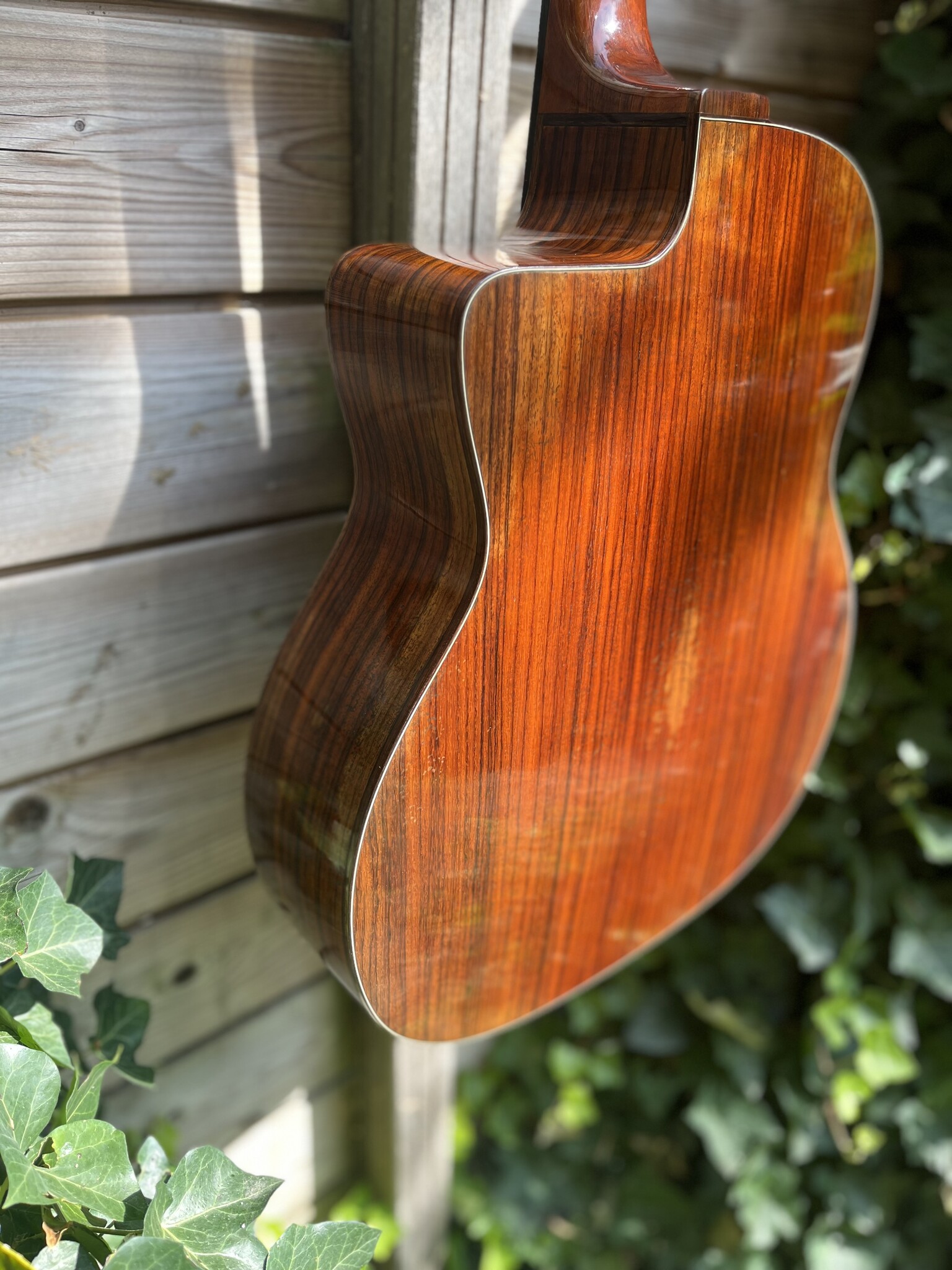 Eastman Eastman DM2/V Gypsy Petite Bouche