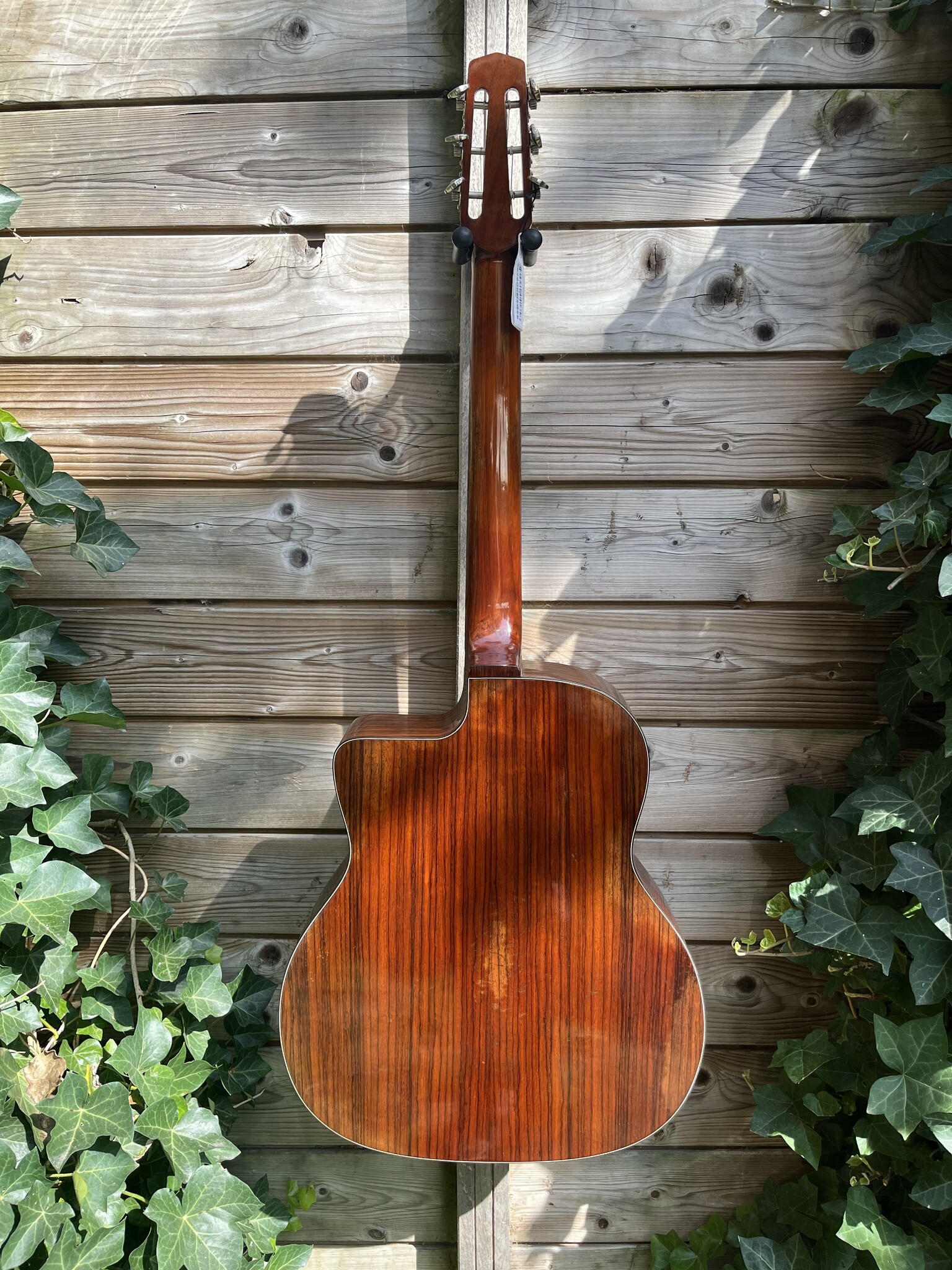 Eastman Eastman DM2/V Gypsy Petite Bouche