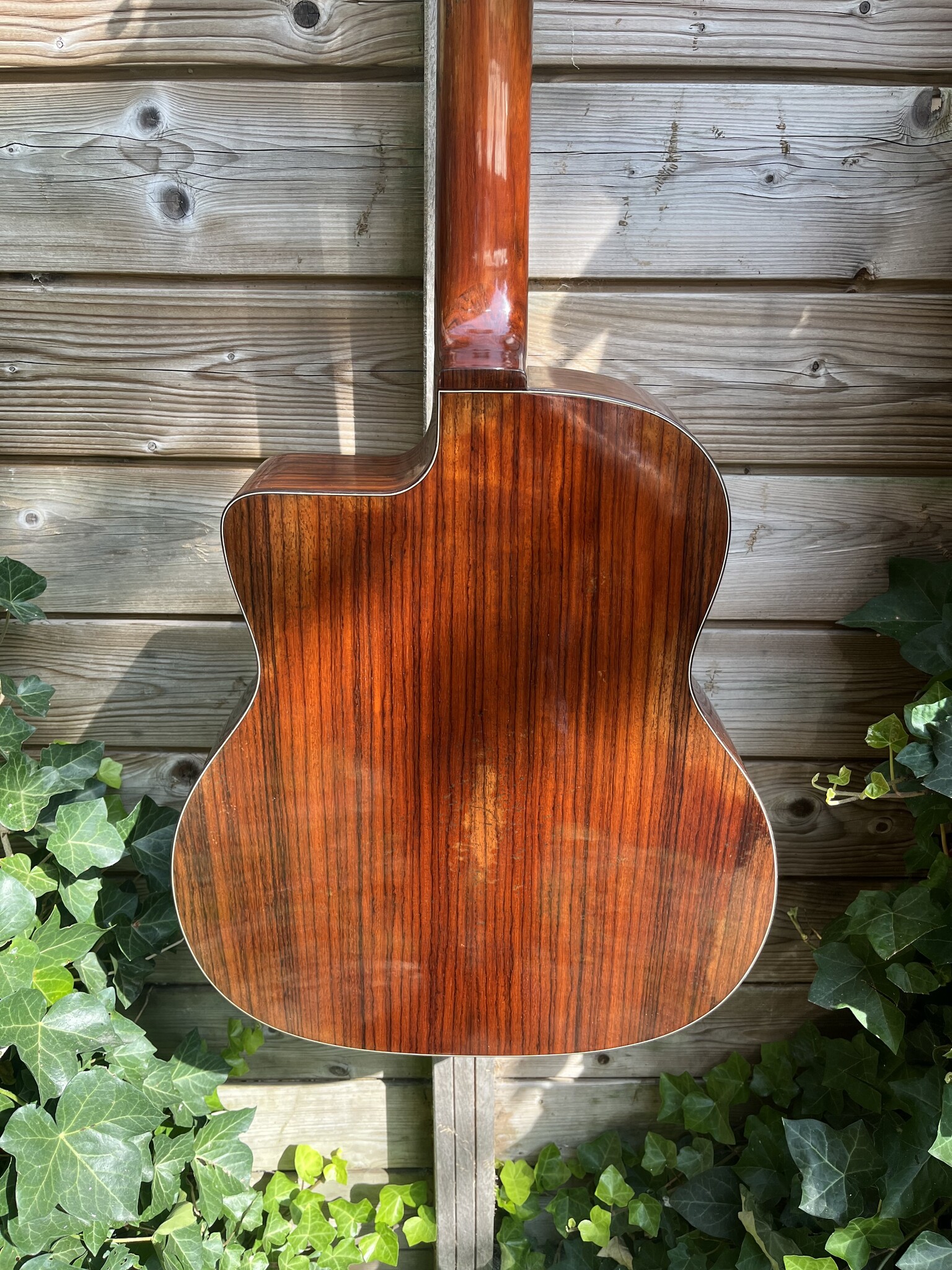 Eastman Eastman DM2/V Gypsy Petite Bouche