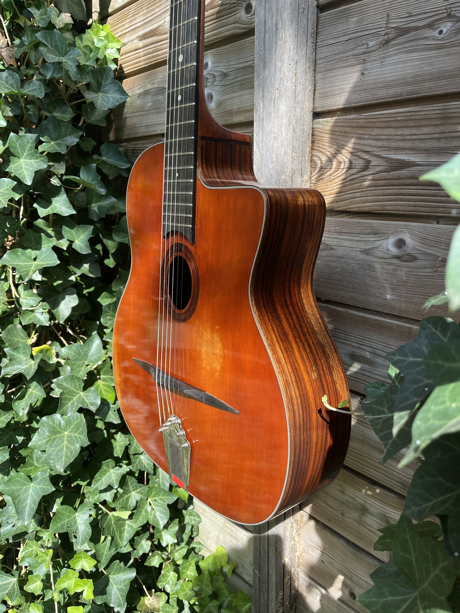 Eastman Eastman DM2/V Gypsy Petite Bouche