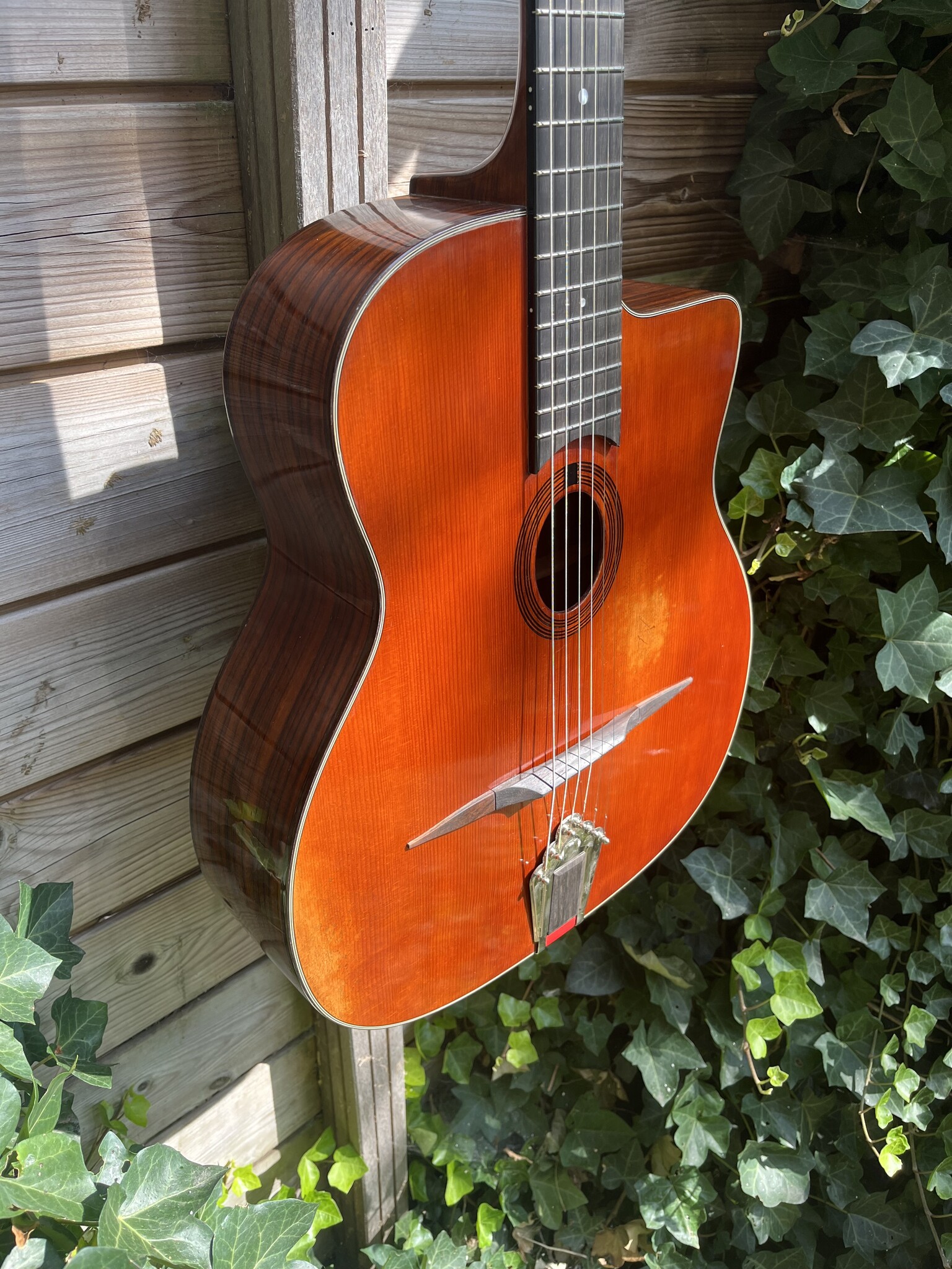 Eastman Eastman DM2/V Gypsy Petite Bouche