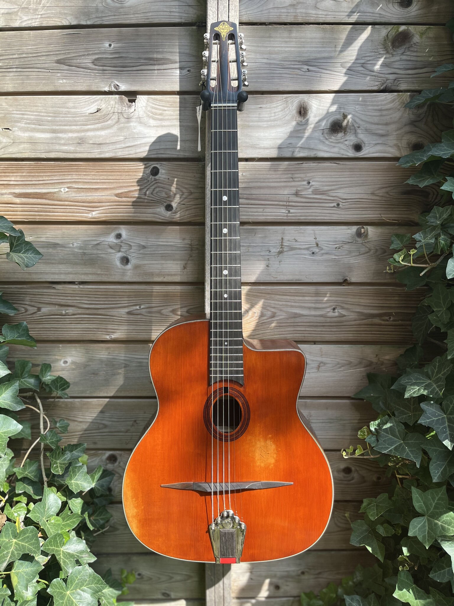 Eastman Eastman DM2/V Gypsy Petite Bouche