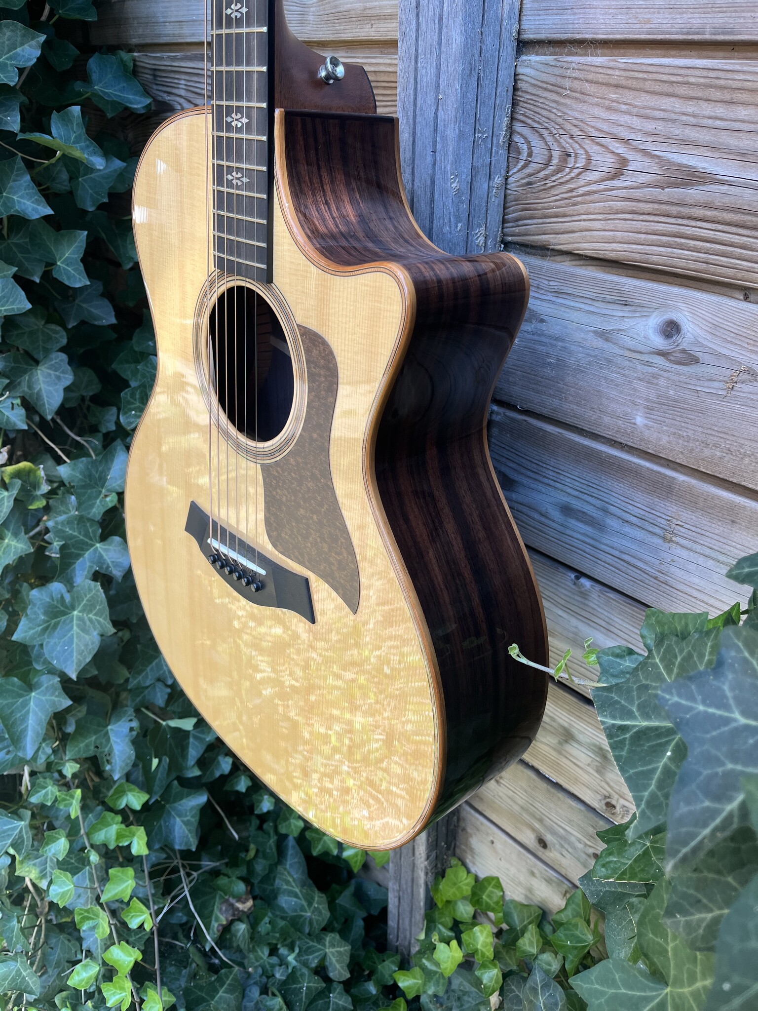 Taylor Taylor 714ce V-Class Grand Auditorium occ.