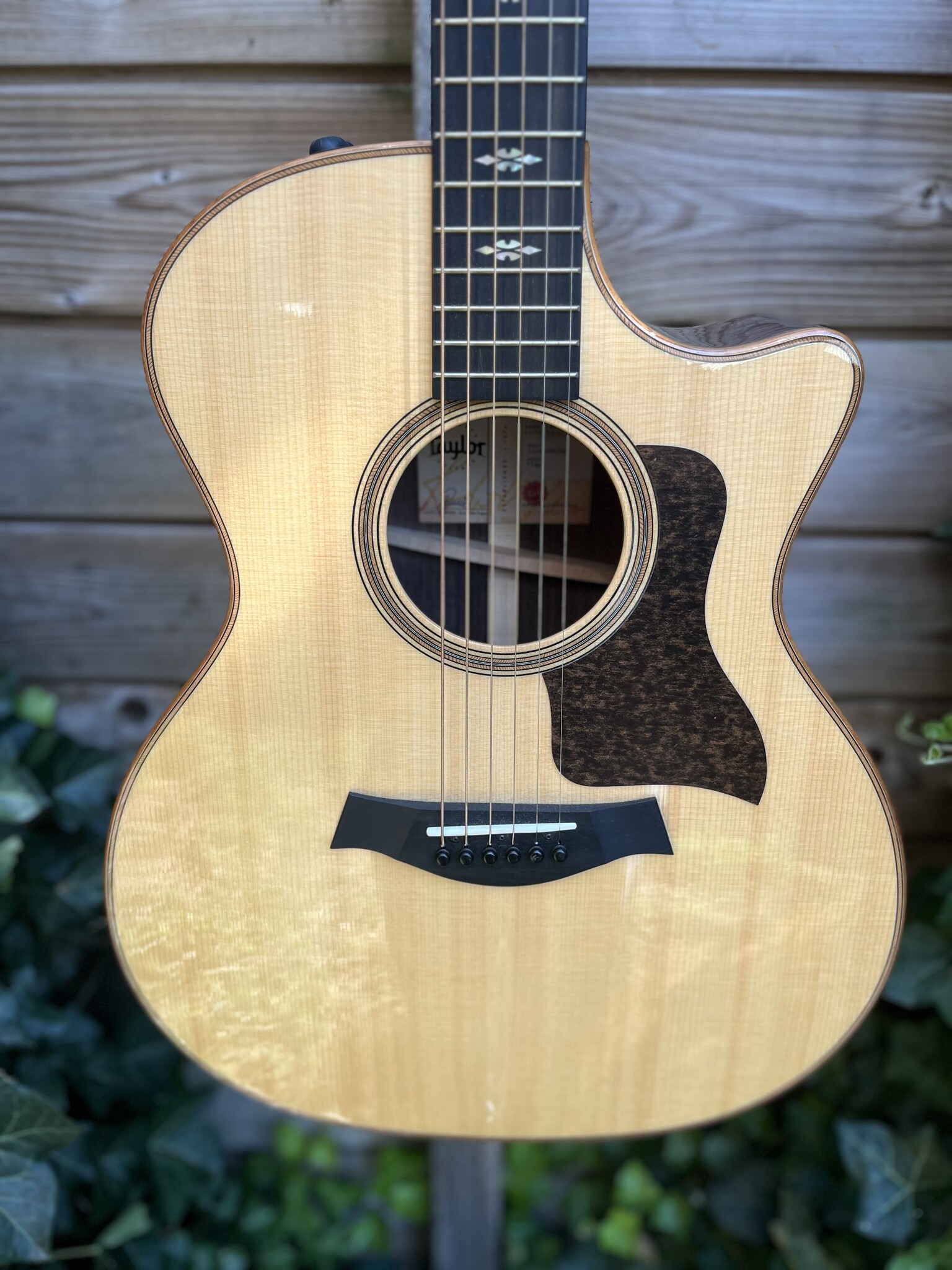 Taylor Taylor 714ce V-Class Grand Auditorium occ.